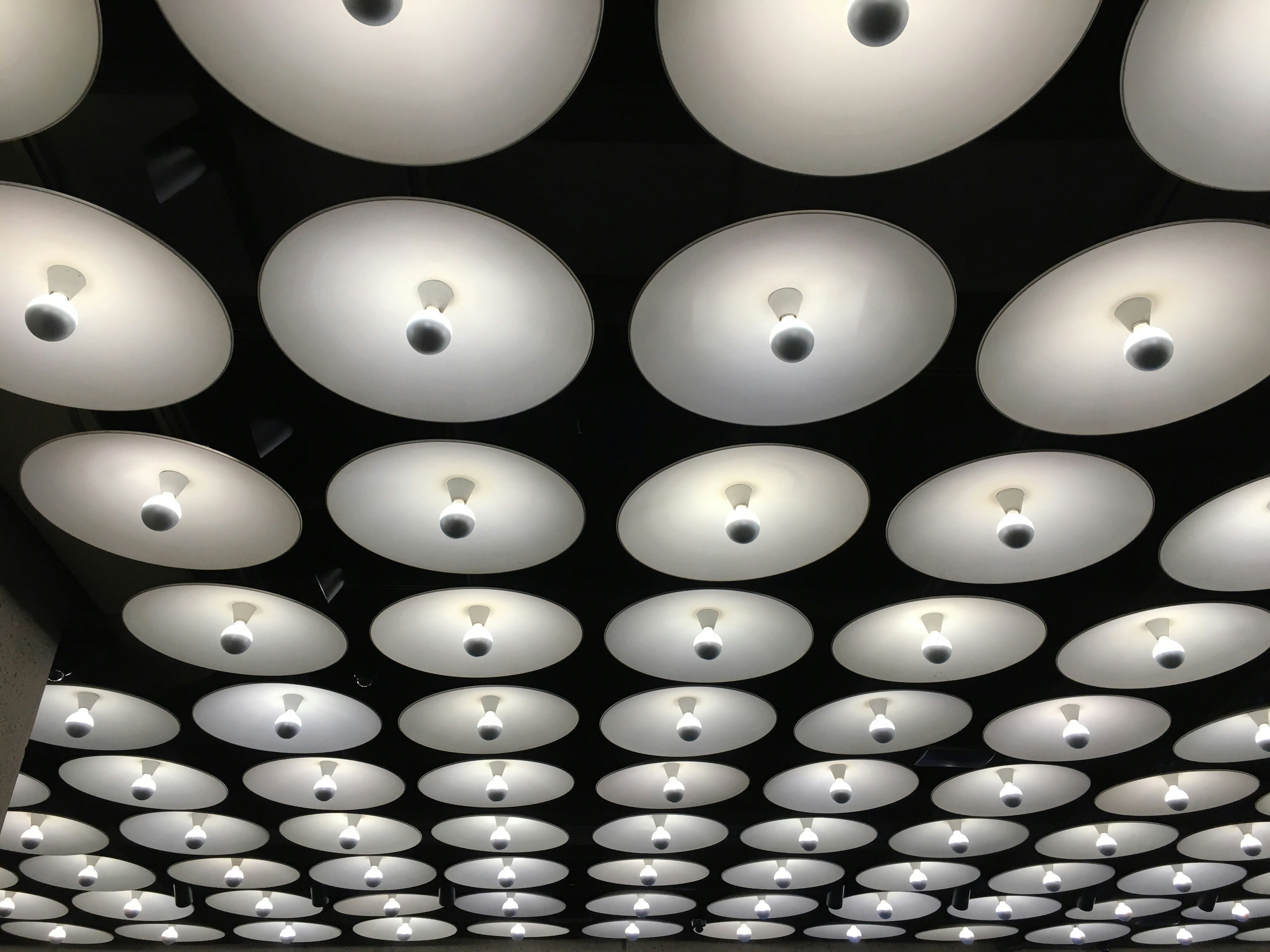 Free Unsplash photo from Adam Calihman