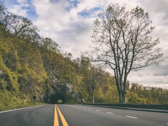 concrete road leading to a mountain tunnel covered in green trees during day