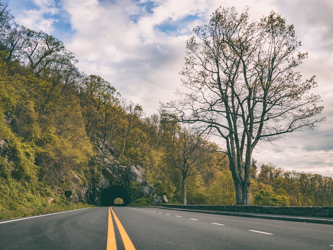 concrete road leading to a mountain tunnel covered in green trees during day