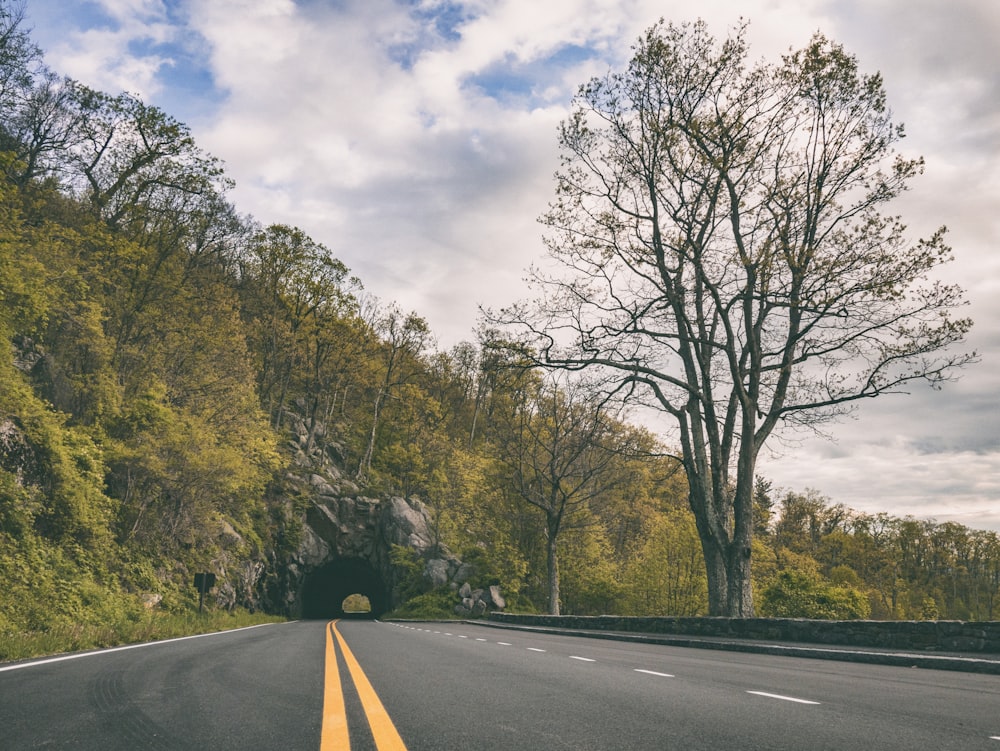 concrete road leading to a mountain tunnel covered in green trees during day