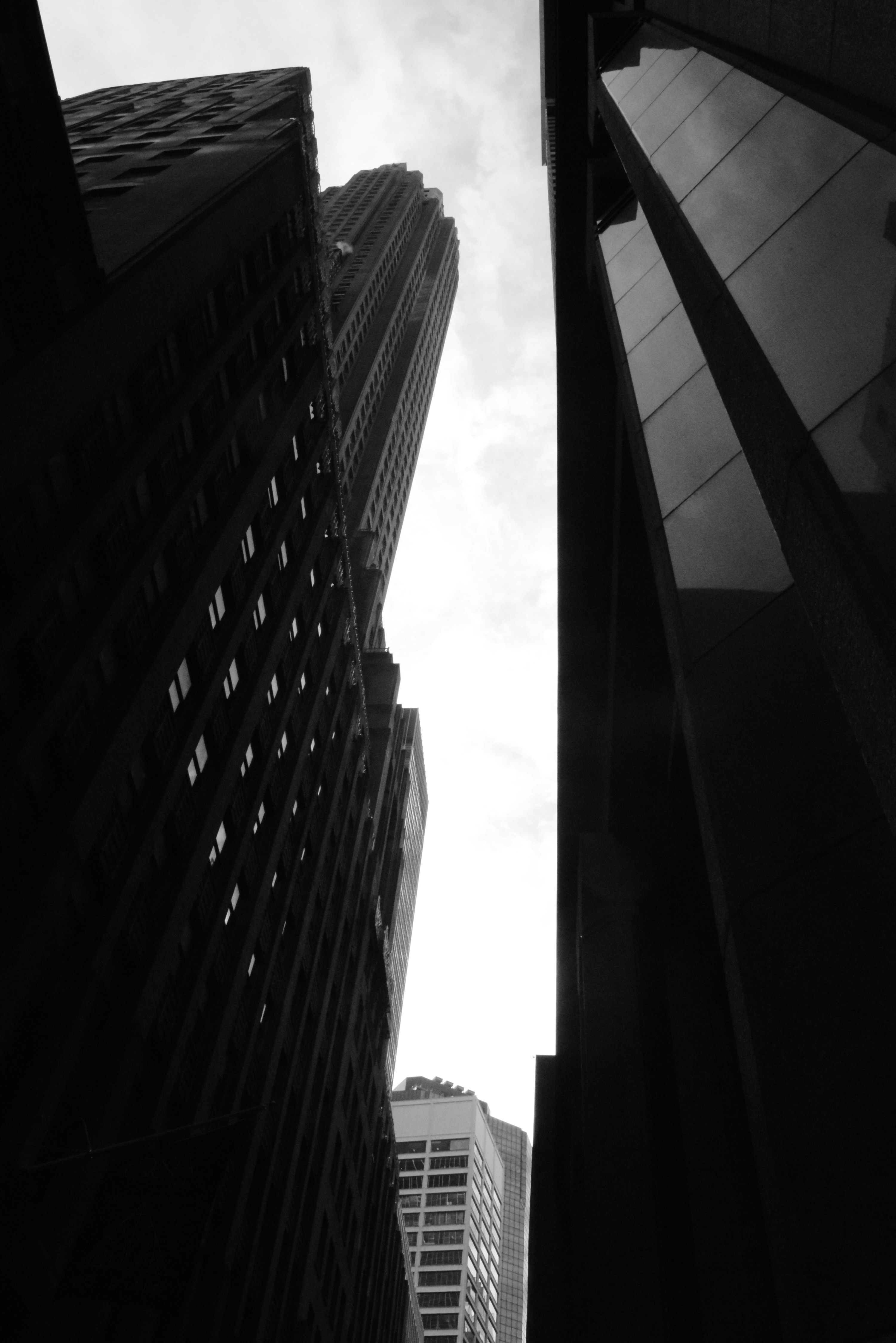 free-black-adn-white-image-on-unsplash