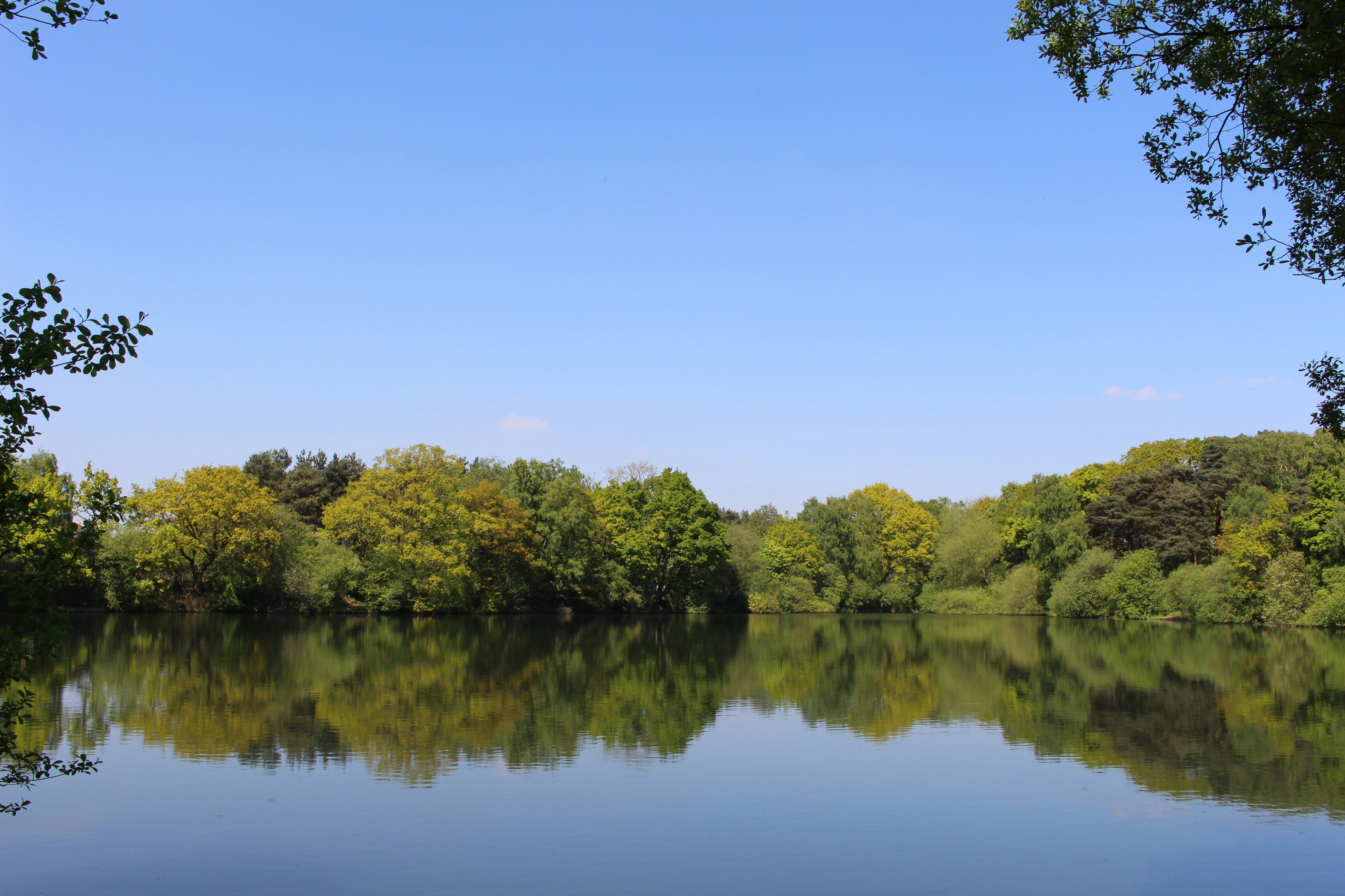 Free Unsplash photo from Emily Morter