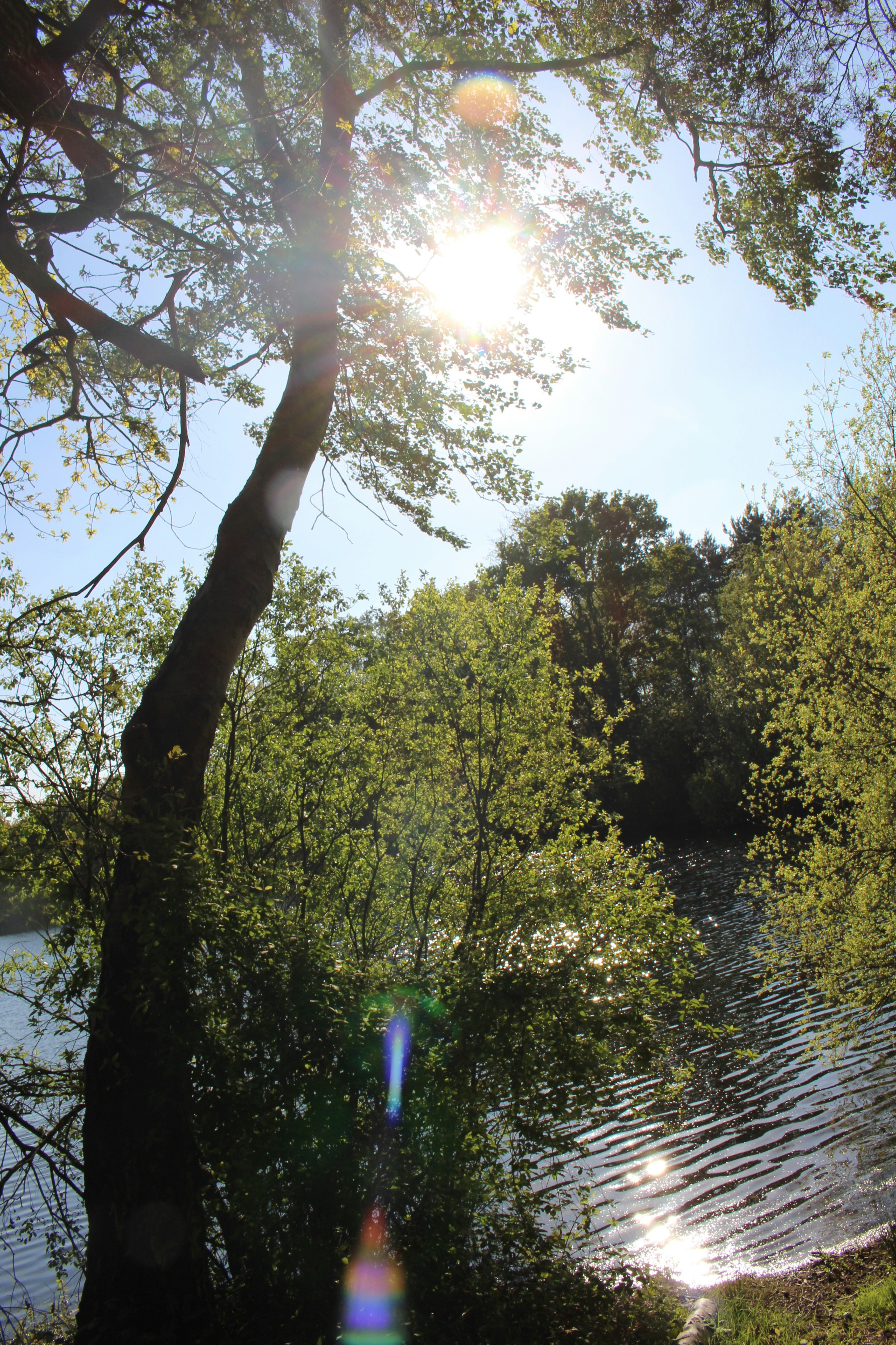 Free Unsplash photo from Emily Morter