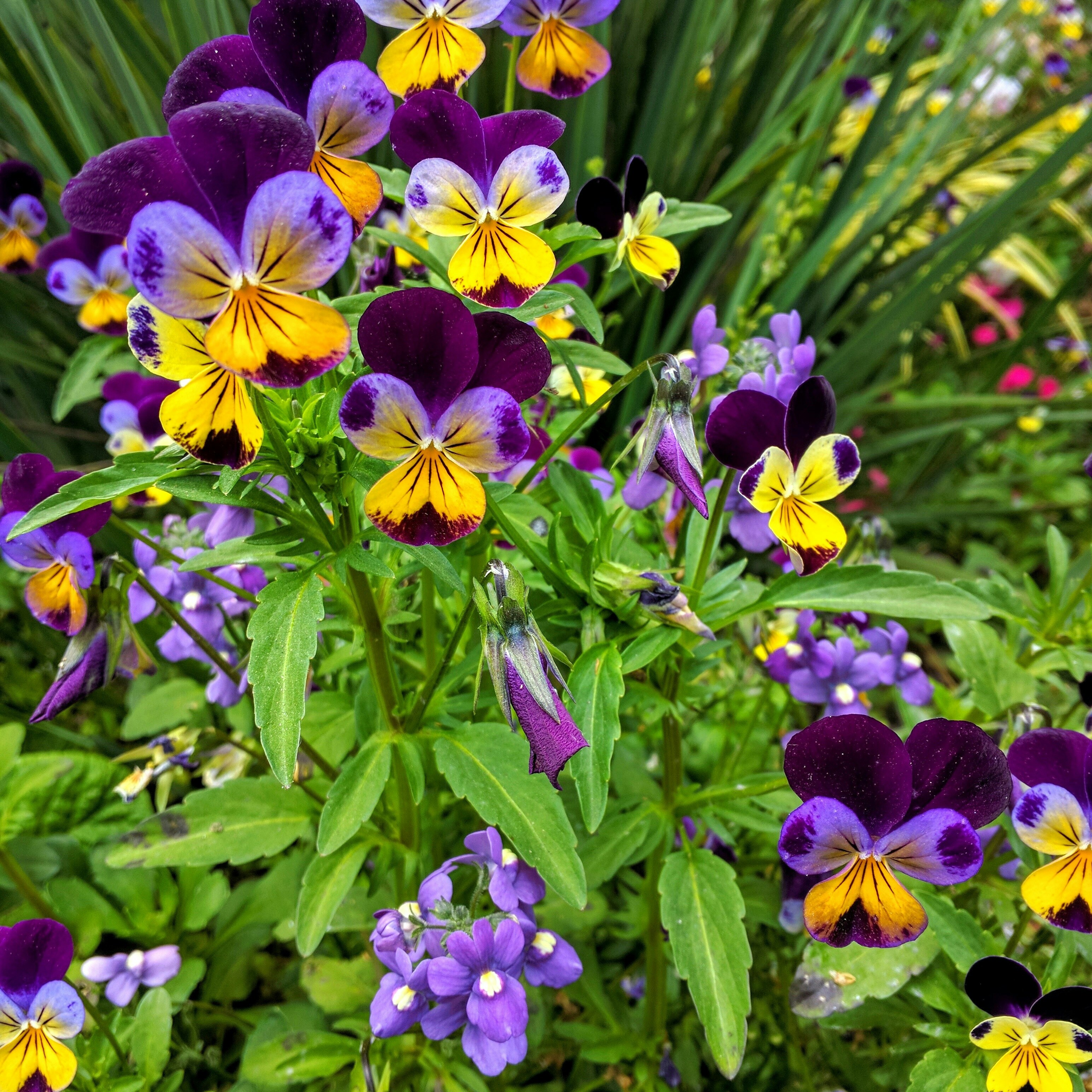 Free Unsplash photo from Bee Li