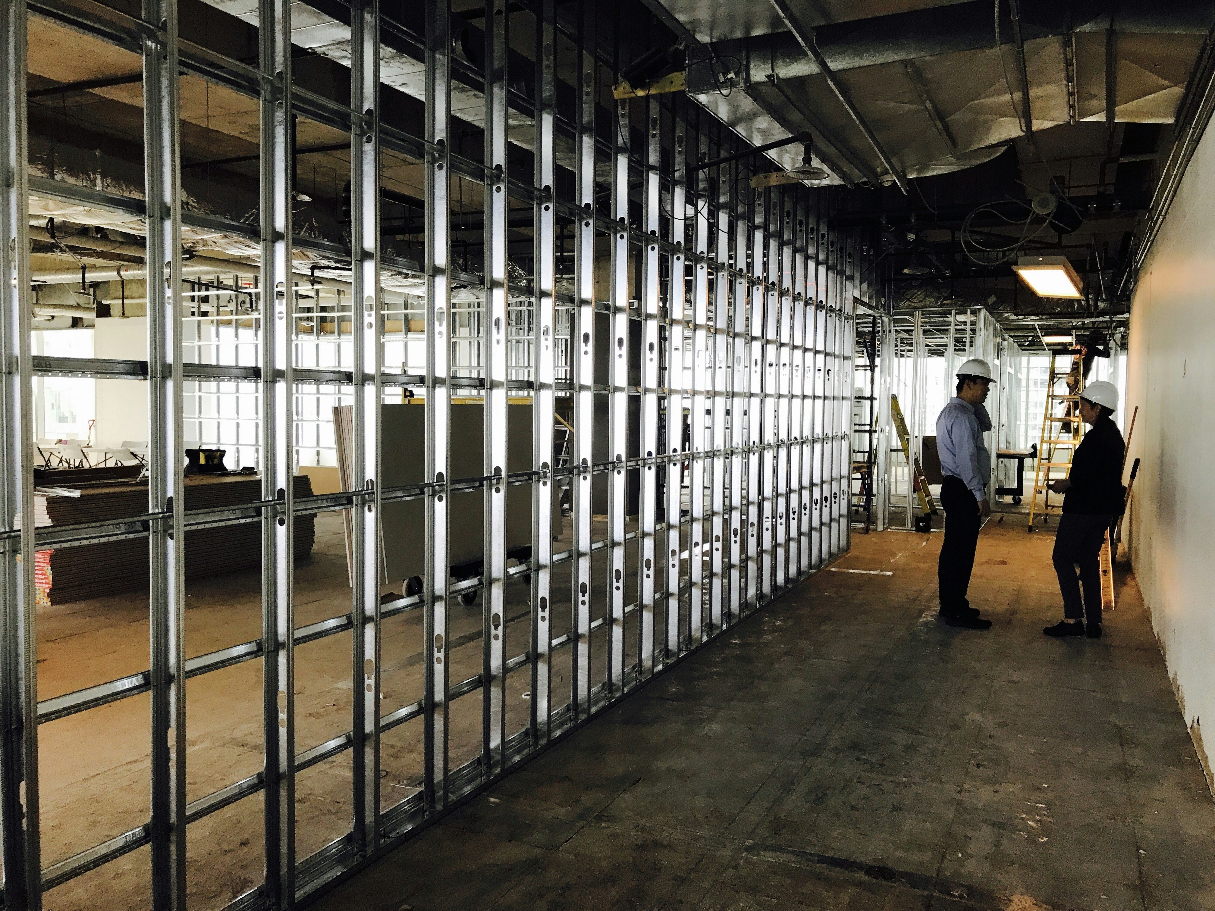 Free Unsplash photo from laly Felix