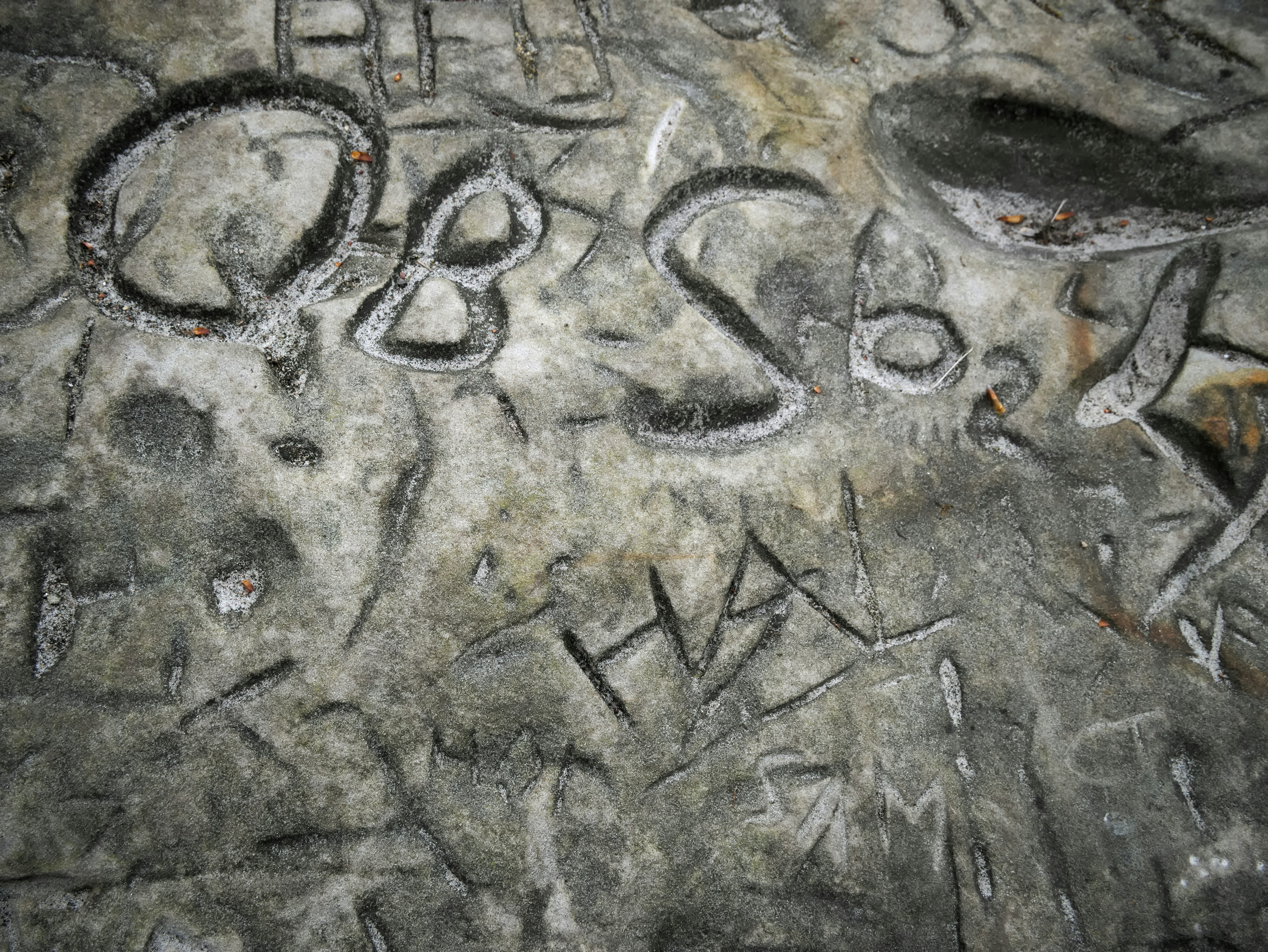 Free Unsplash photo from Harm Weustink