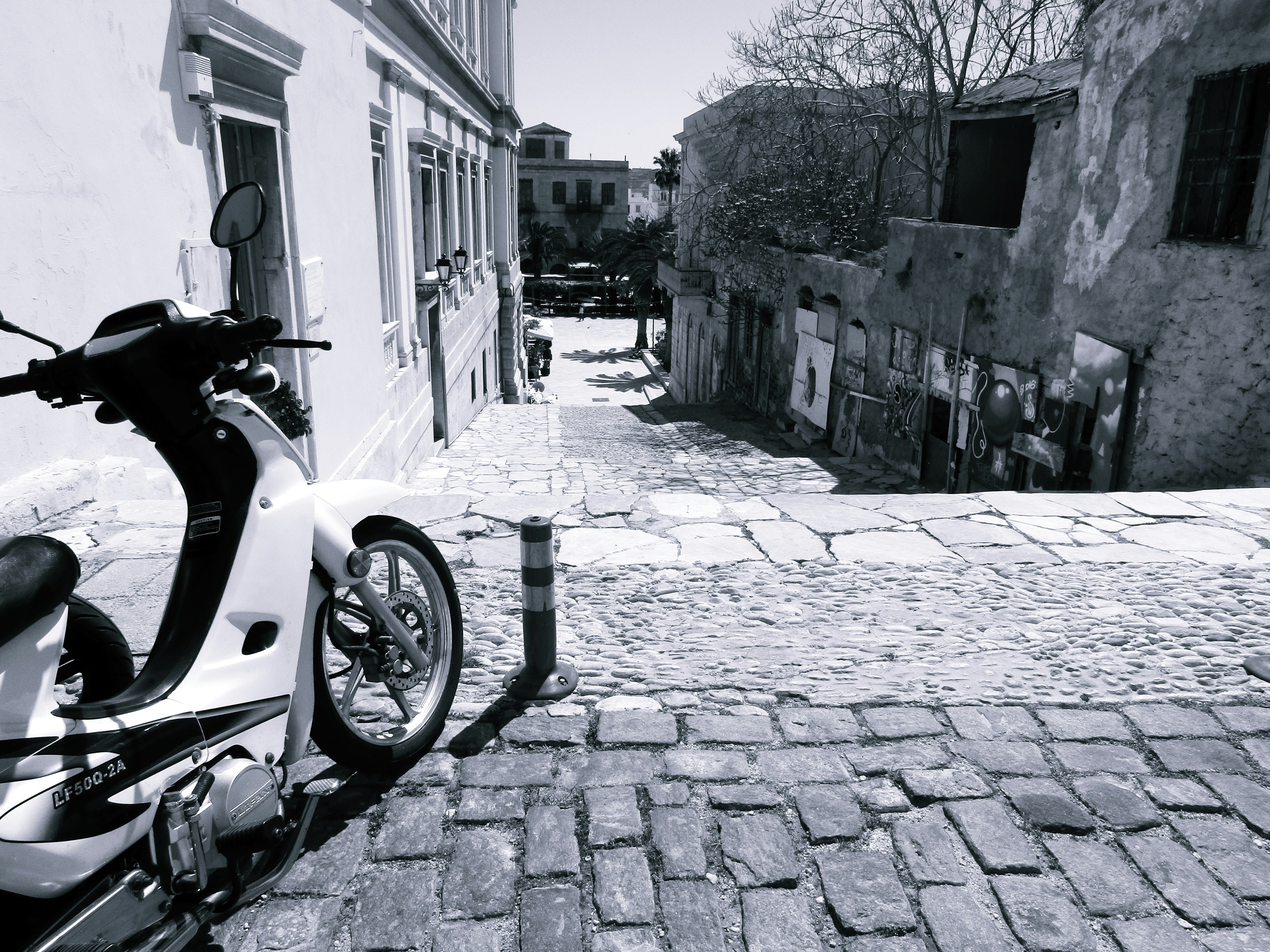 Free Unsplash photo from Brishila Ginai