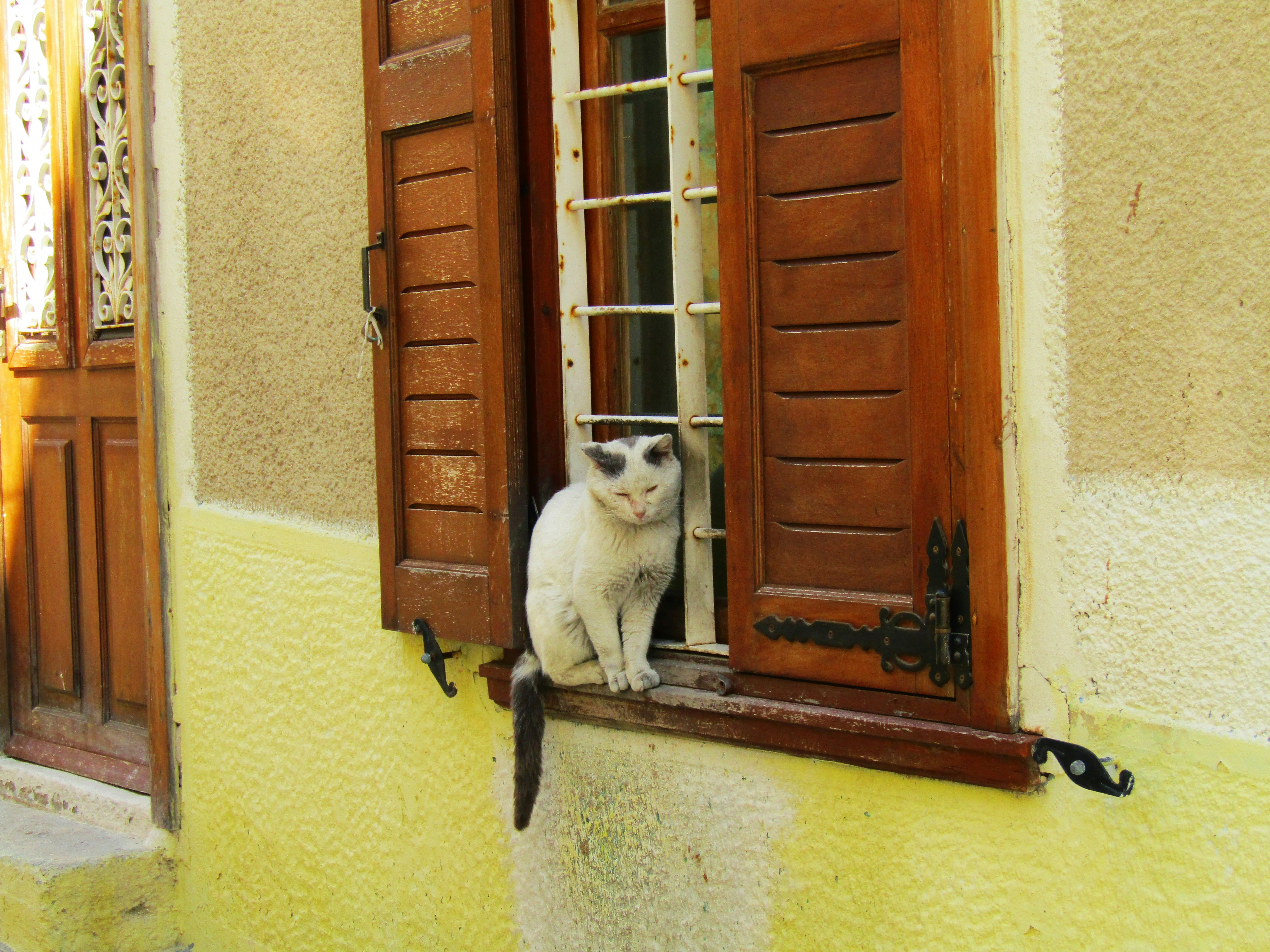 Free Unsplash photo from Brishila Ginai