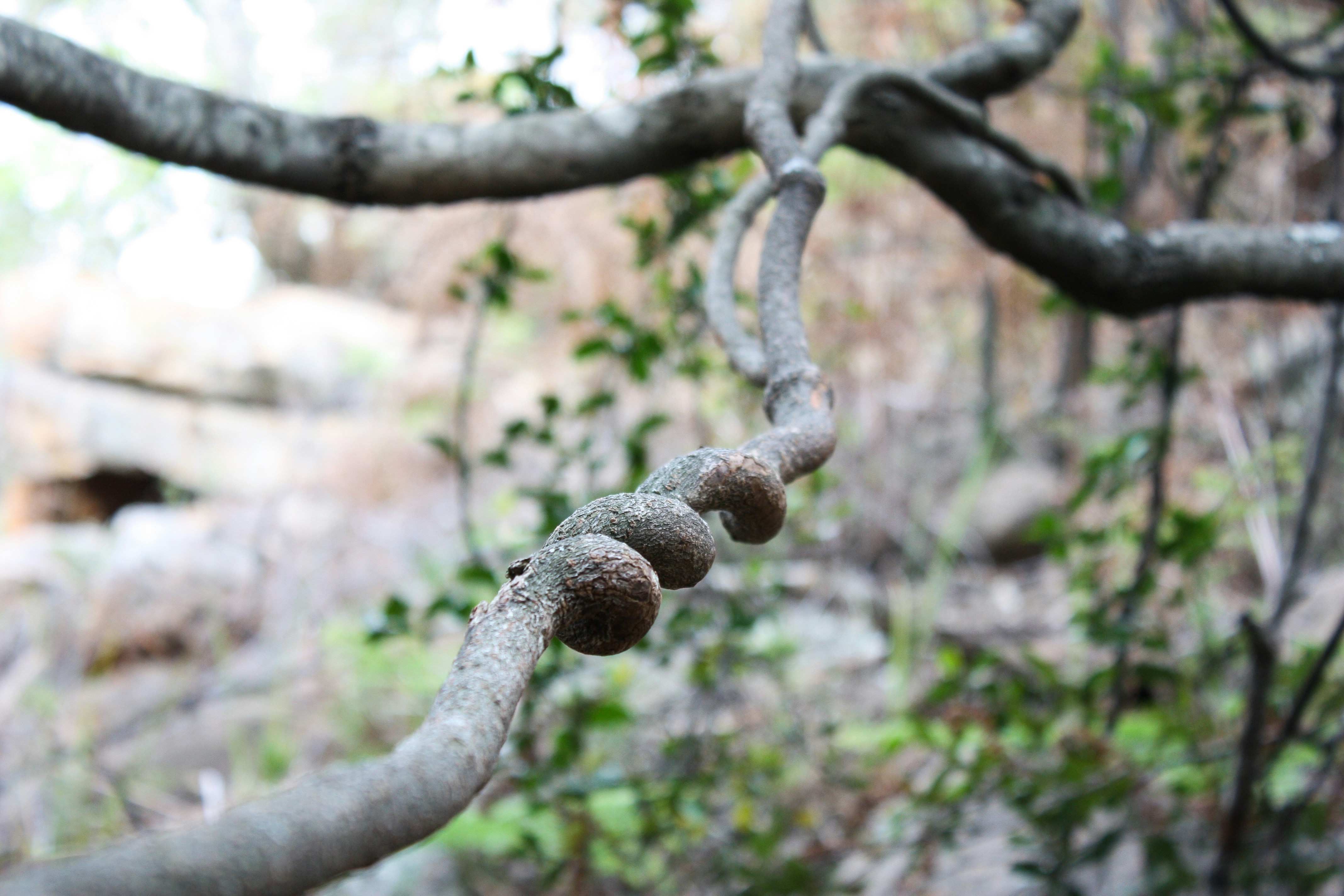 Free Unsplash photo from Paul Mare