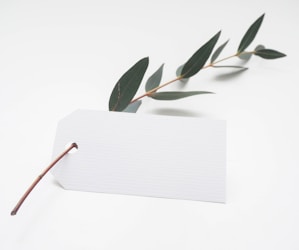 green leaf with white card