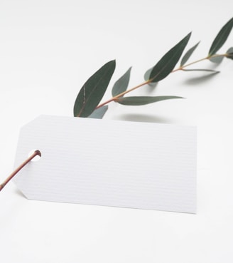 green leaf with white card