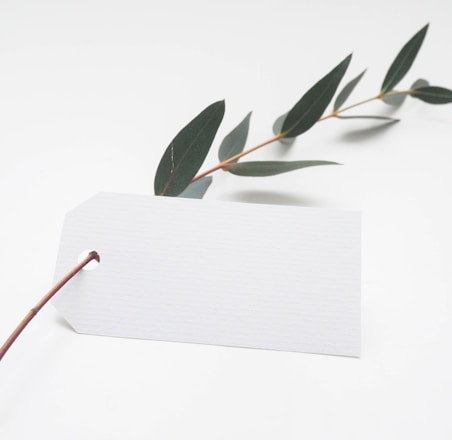 green leaf with white card