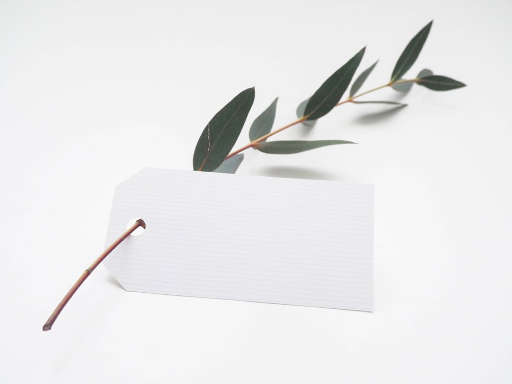 緑の葉と白いカード