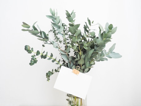 A bouquet of eucalyptus leaves arranged in a clear glass vase. The leaves are varied in size and coloration, ranging from dark to light green. A blank white card is attached to the leaves with a gold binder clip.