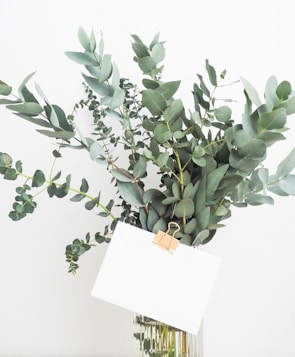 green leafed plant with white printing paper