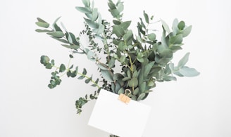 green leafed plant with white printing paper