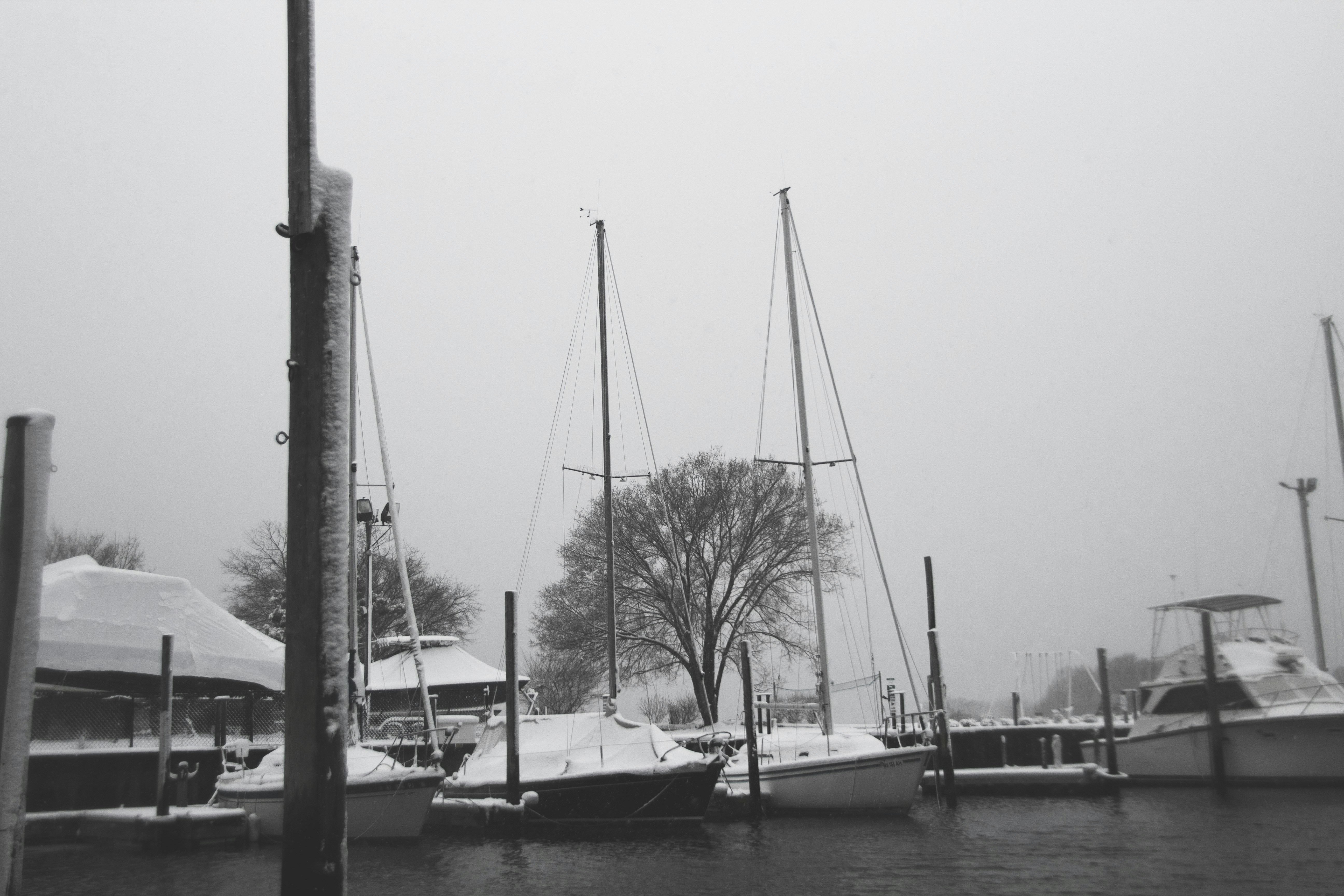 Free Unsplash photo from Skyler  Baez