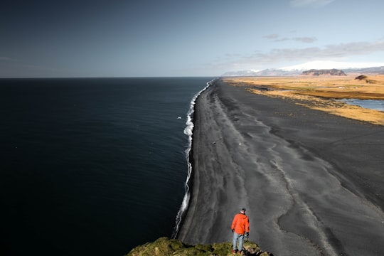 man in red top standing near cliff overlooking seashore during daytime in Dyrhólaey Iceland