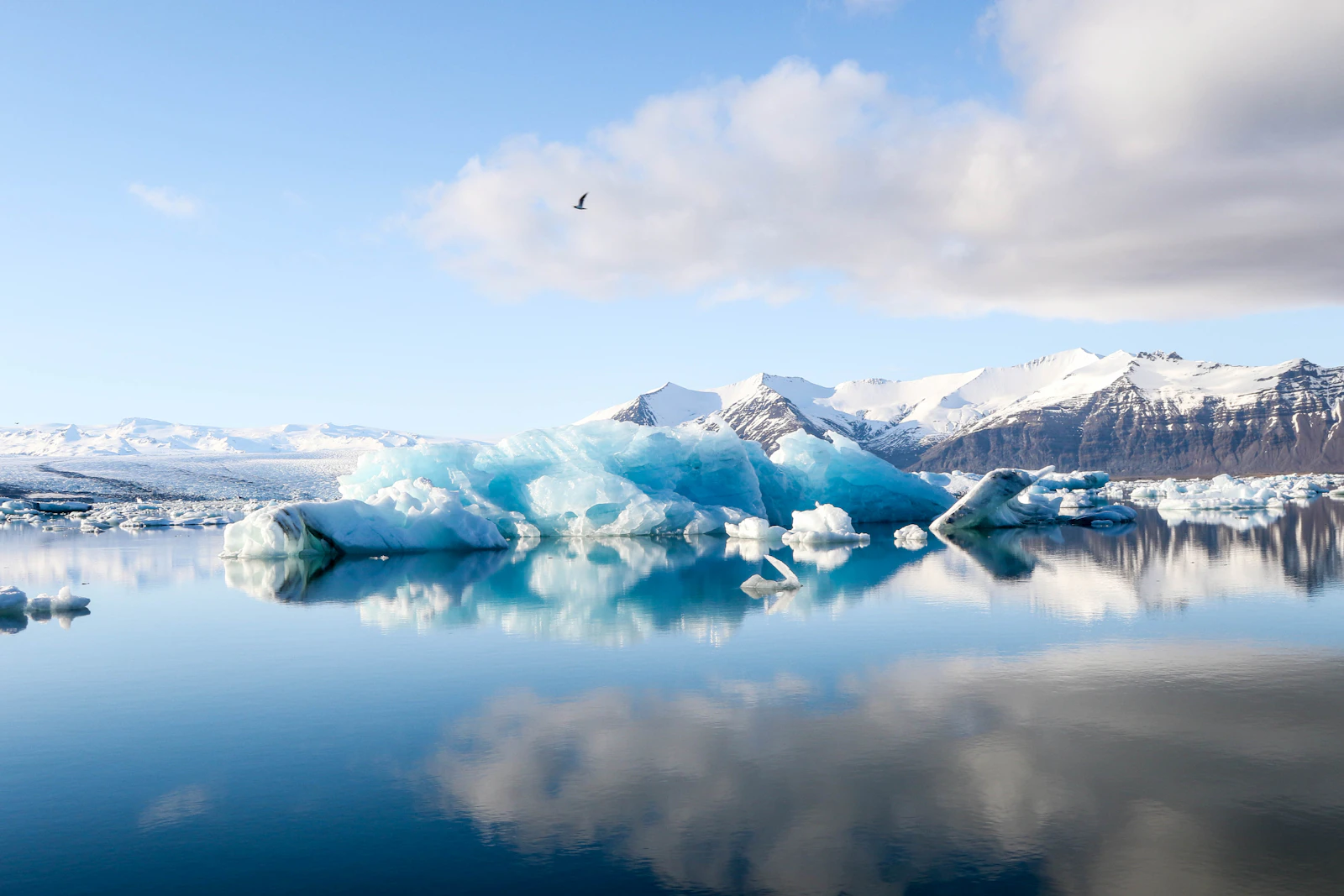 Icebergs qui fondent dans un lagon glaciaire