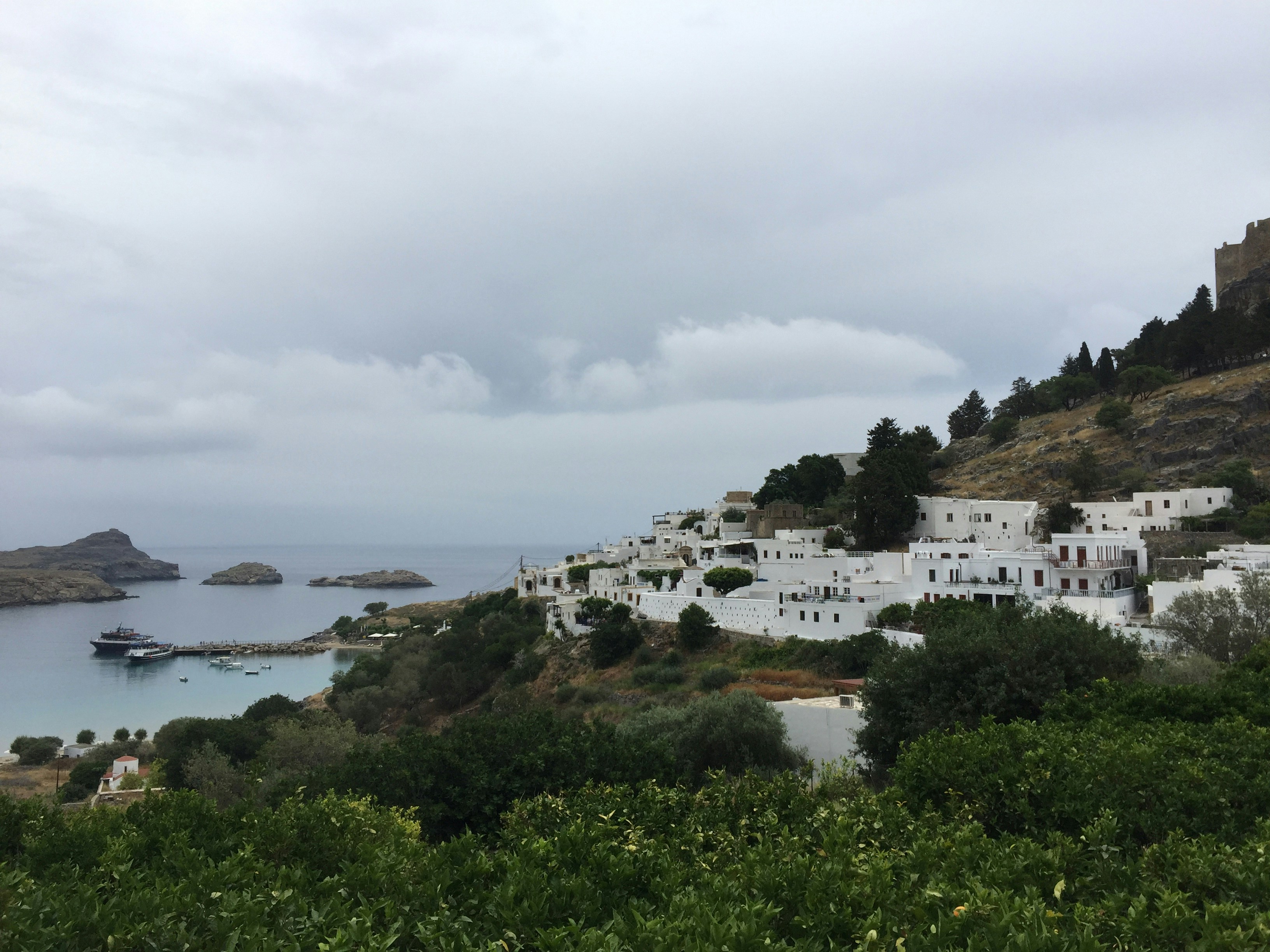 Free Unsplash photo from Femmie Lodewijk