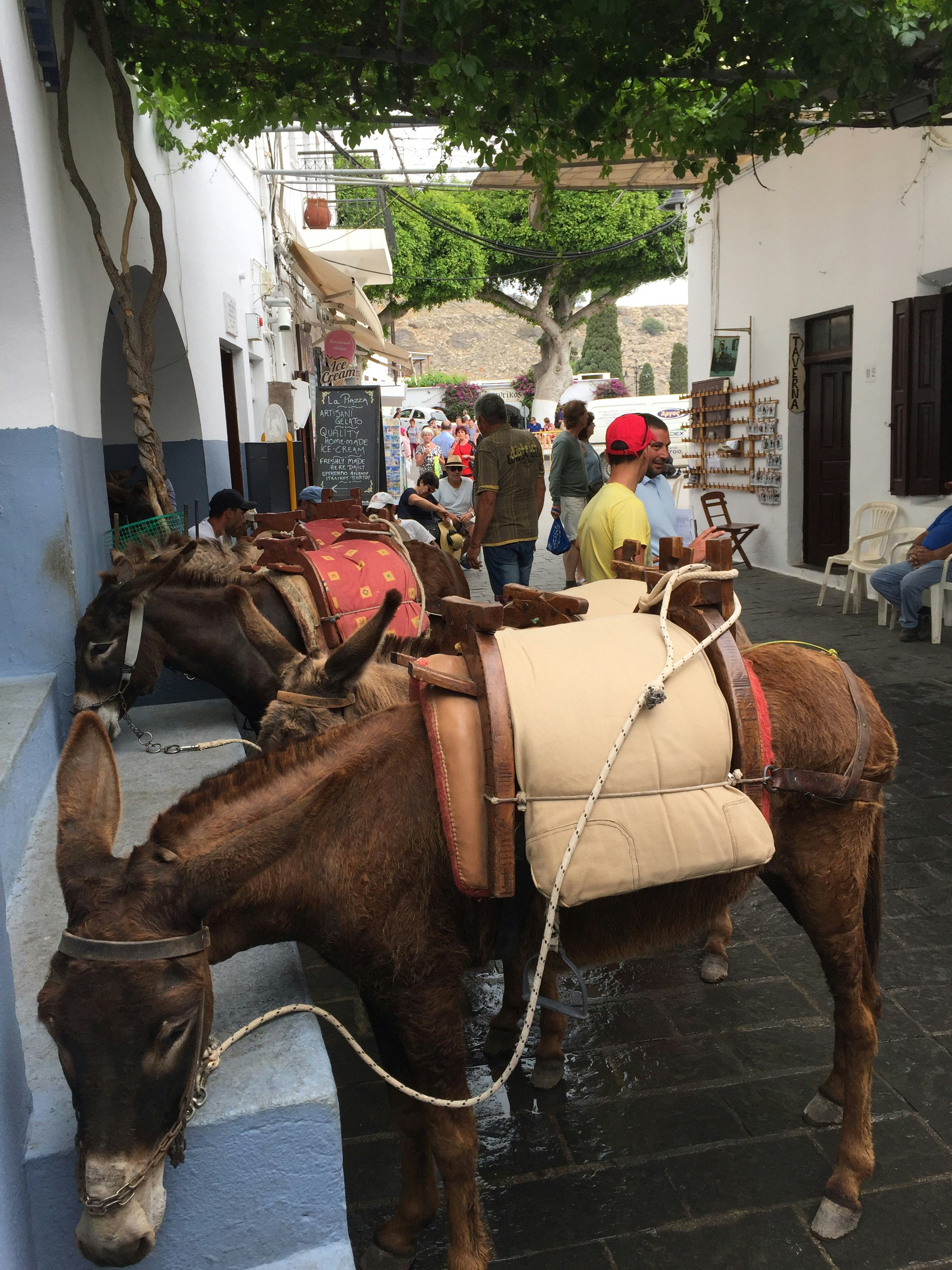 Free Unsplash photo from Femmie Lodewijk