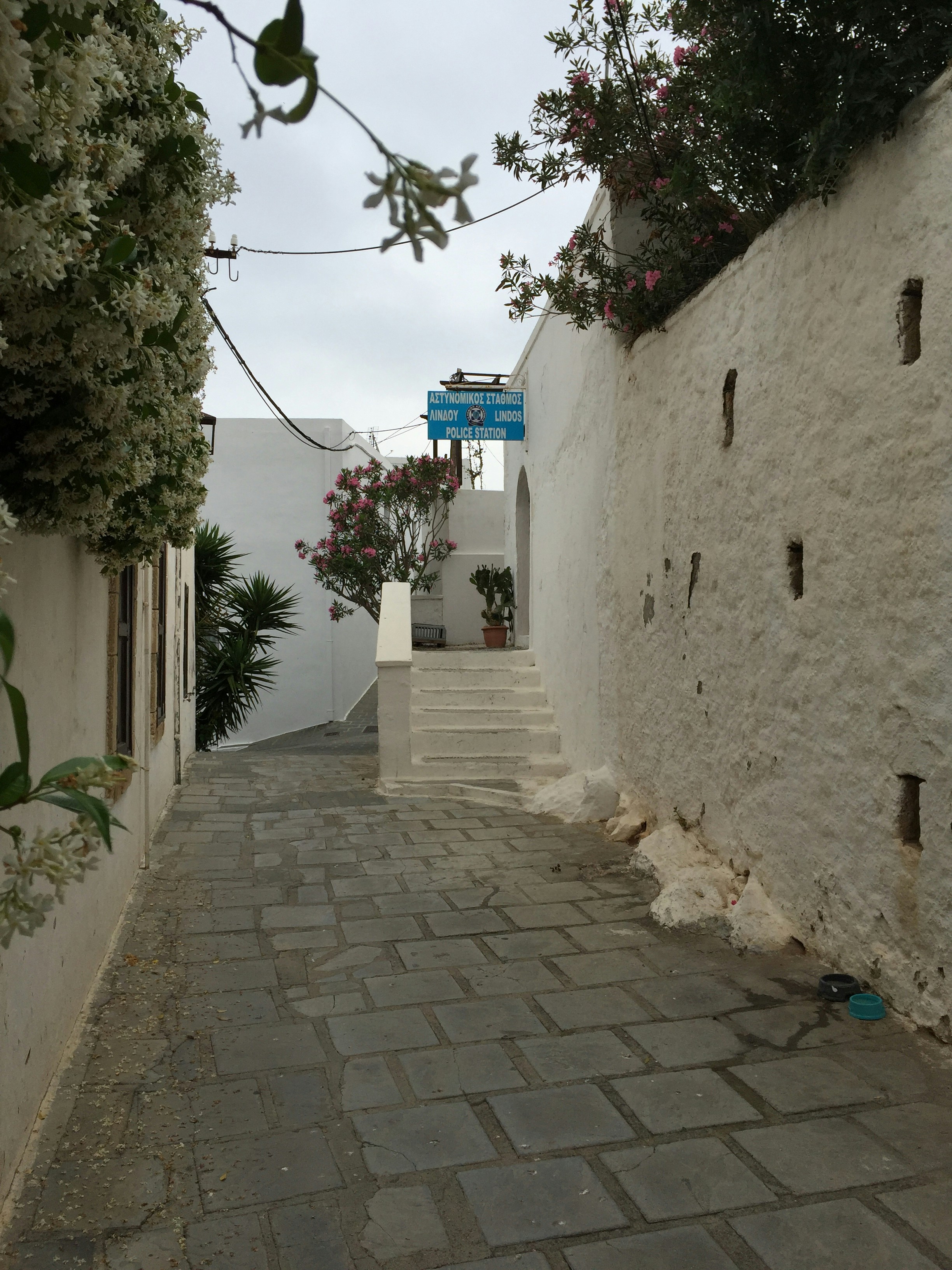 Free Unsplash photo from Femmie Lodewijk