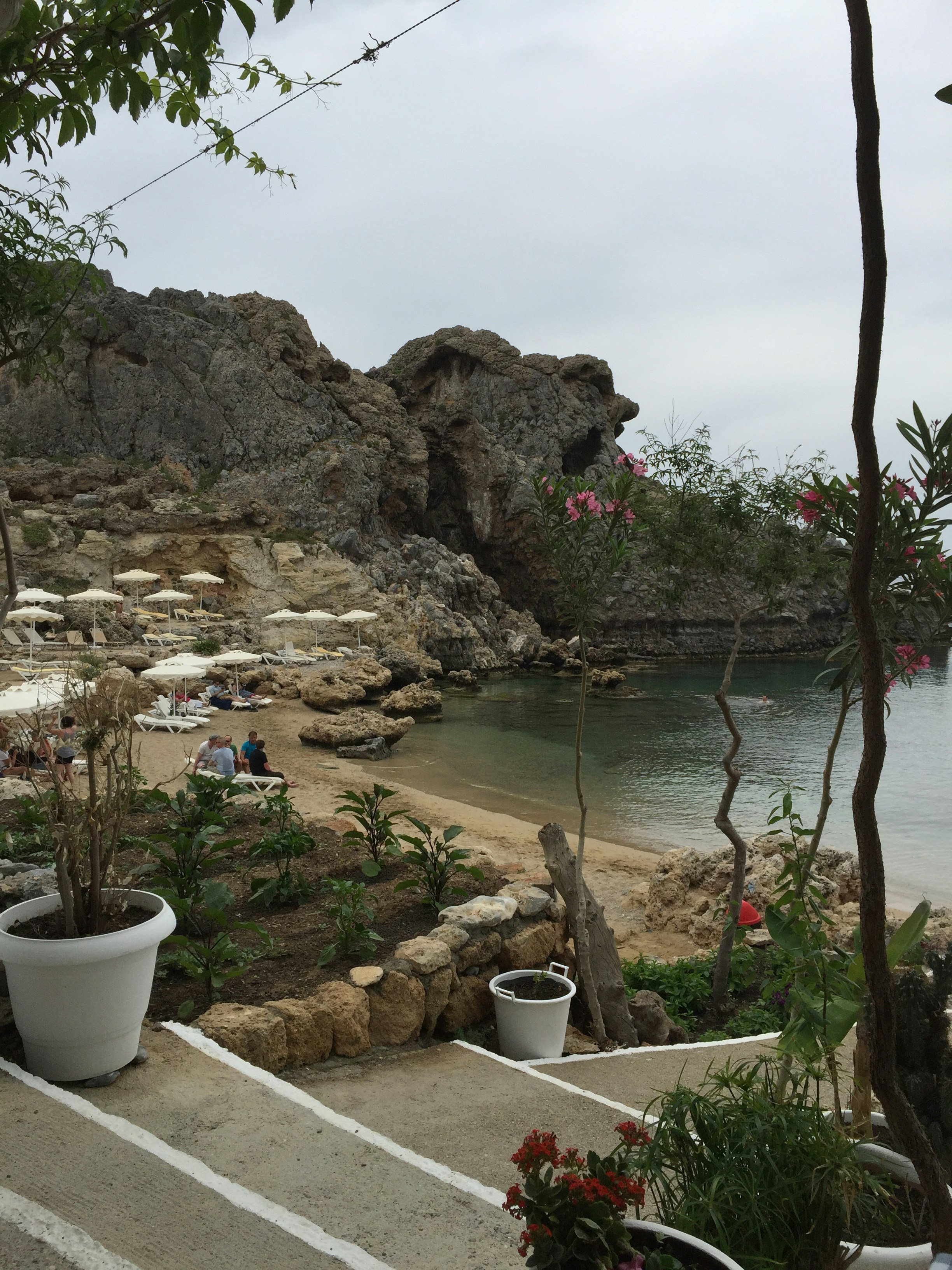 Free Unsplash photo from Femmie Lodewijk