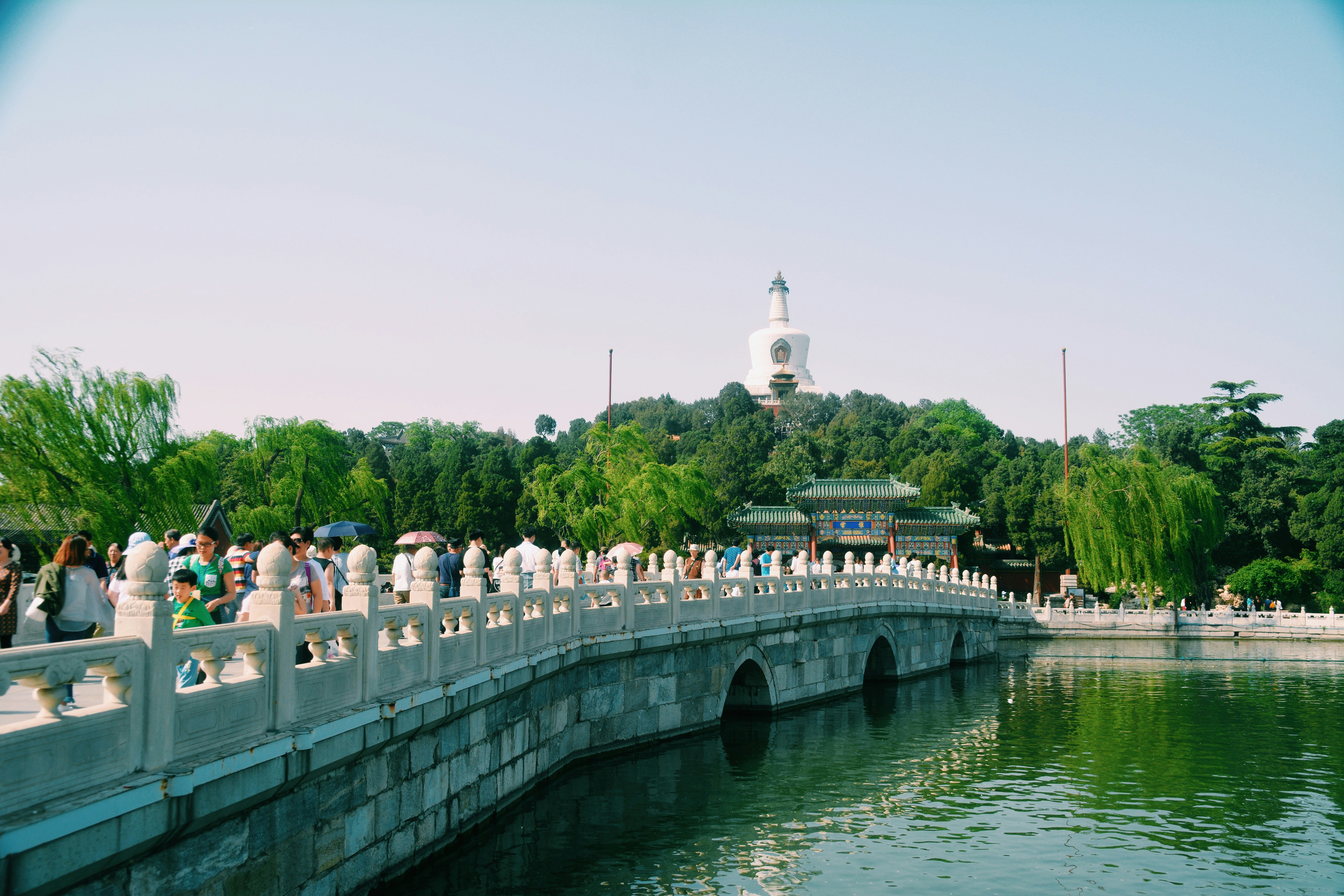 Free Unsplash photo from shane victor