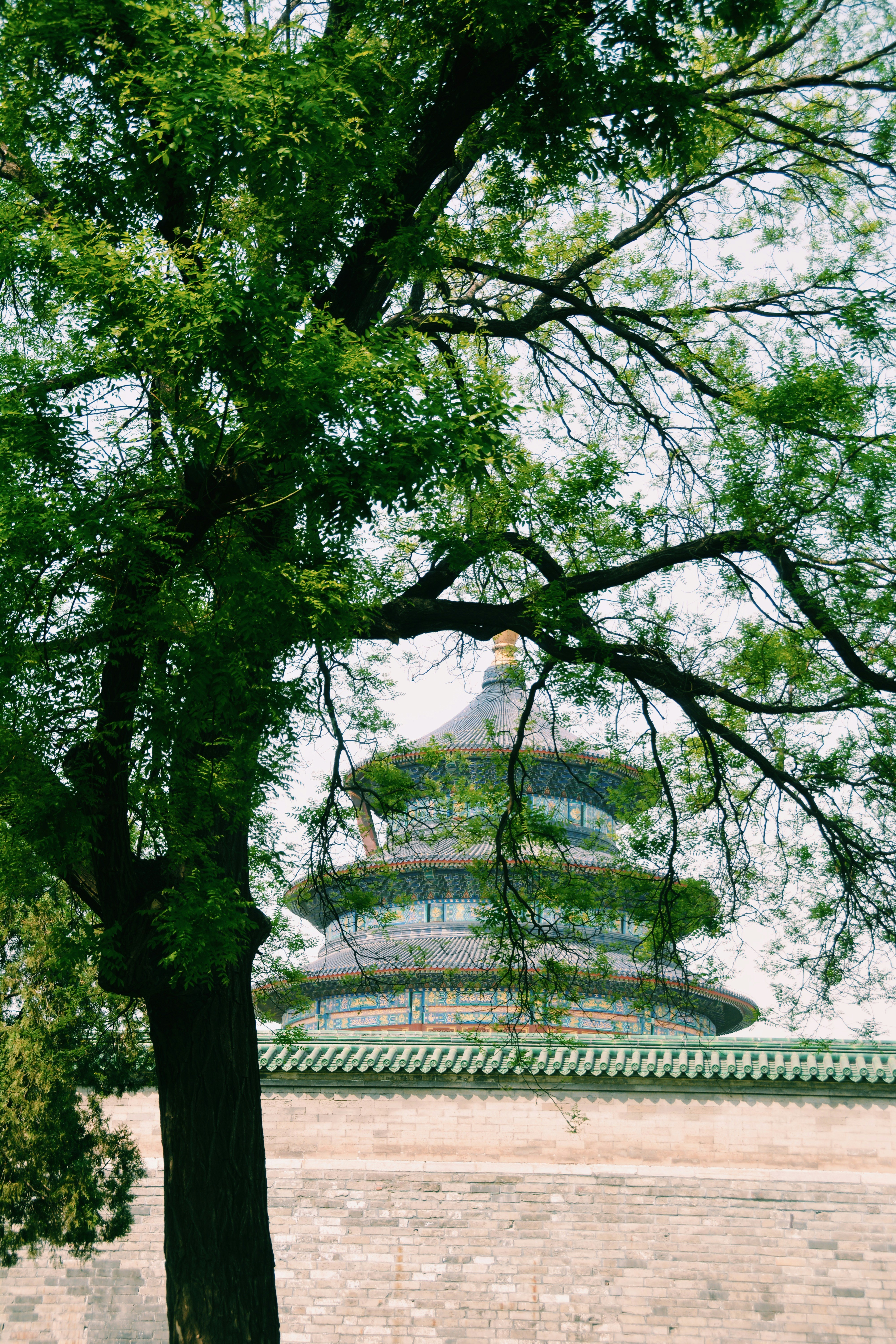 Free Unsplash photo from shane victor