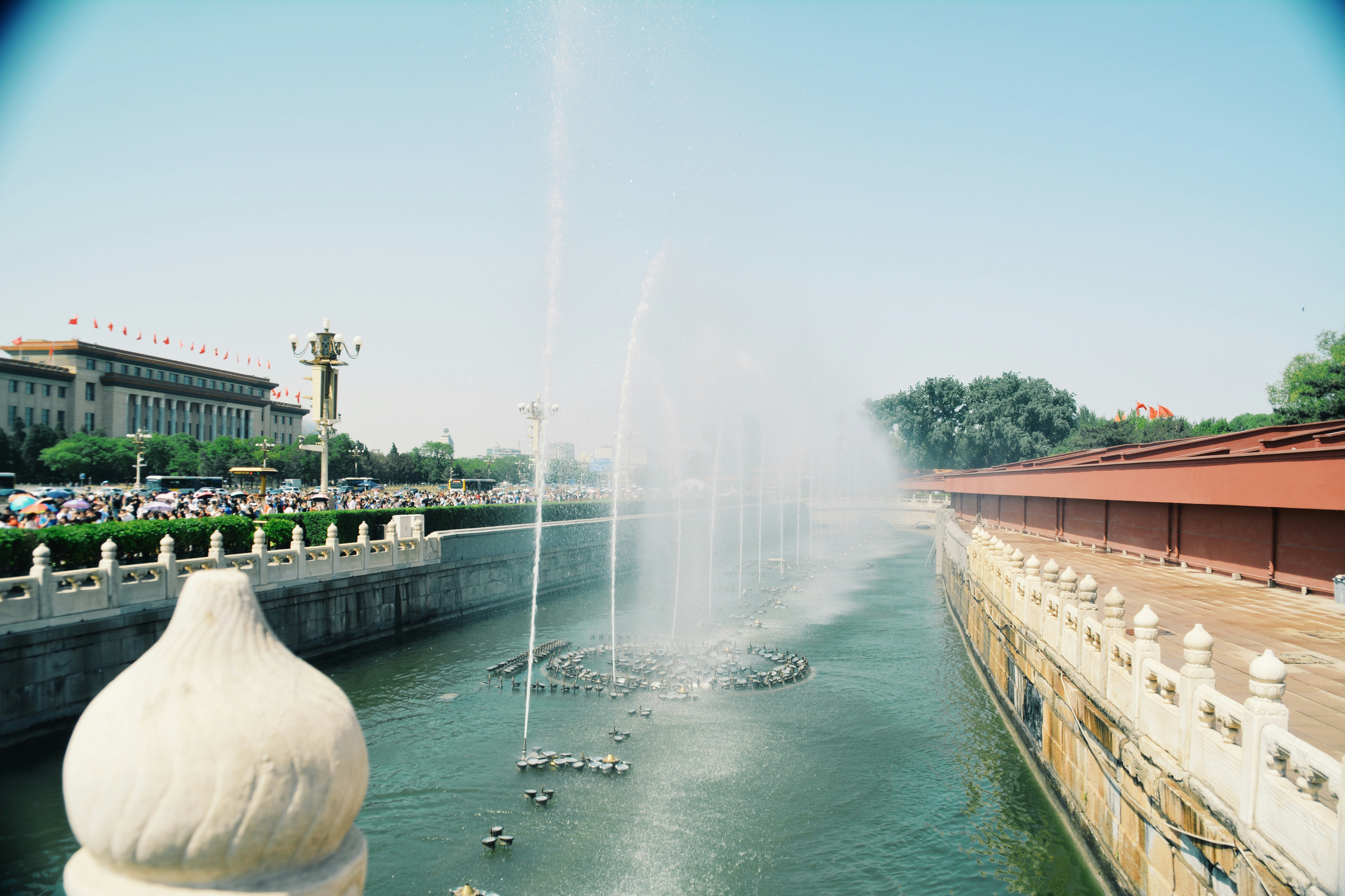 Free Unsplash photo from shane victor