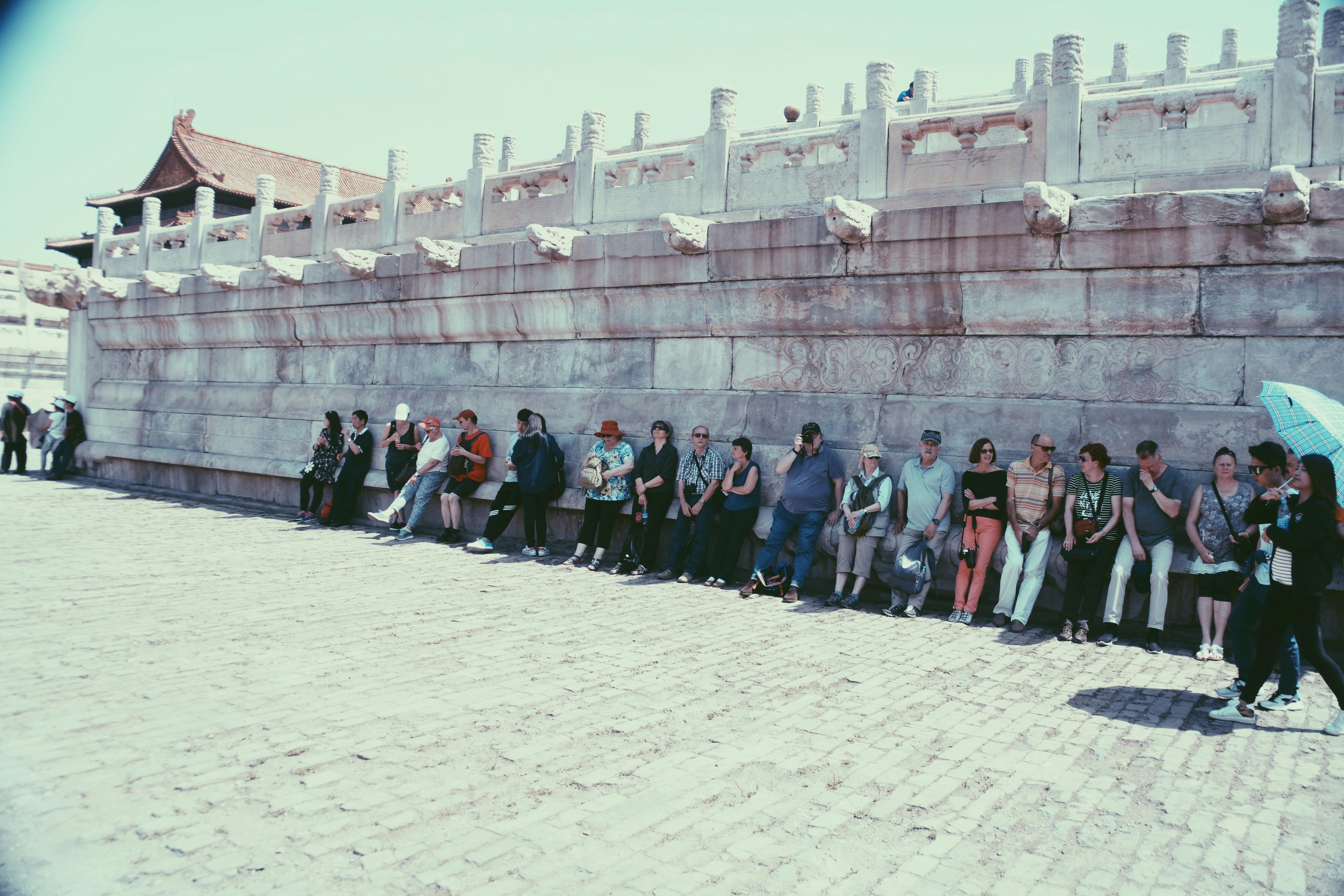 Free Unsplash photo from shane victor