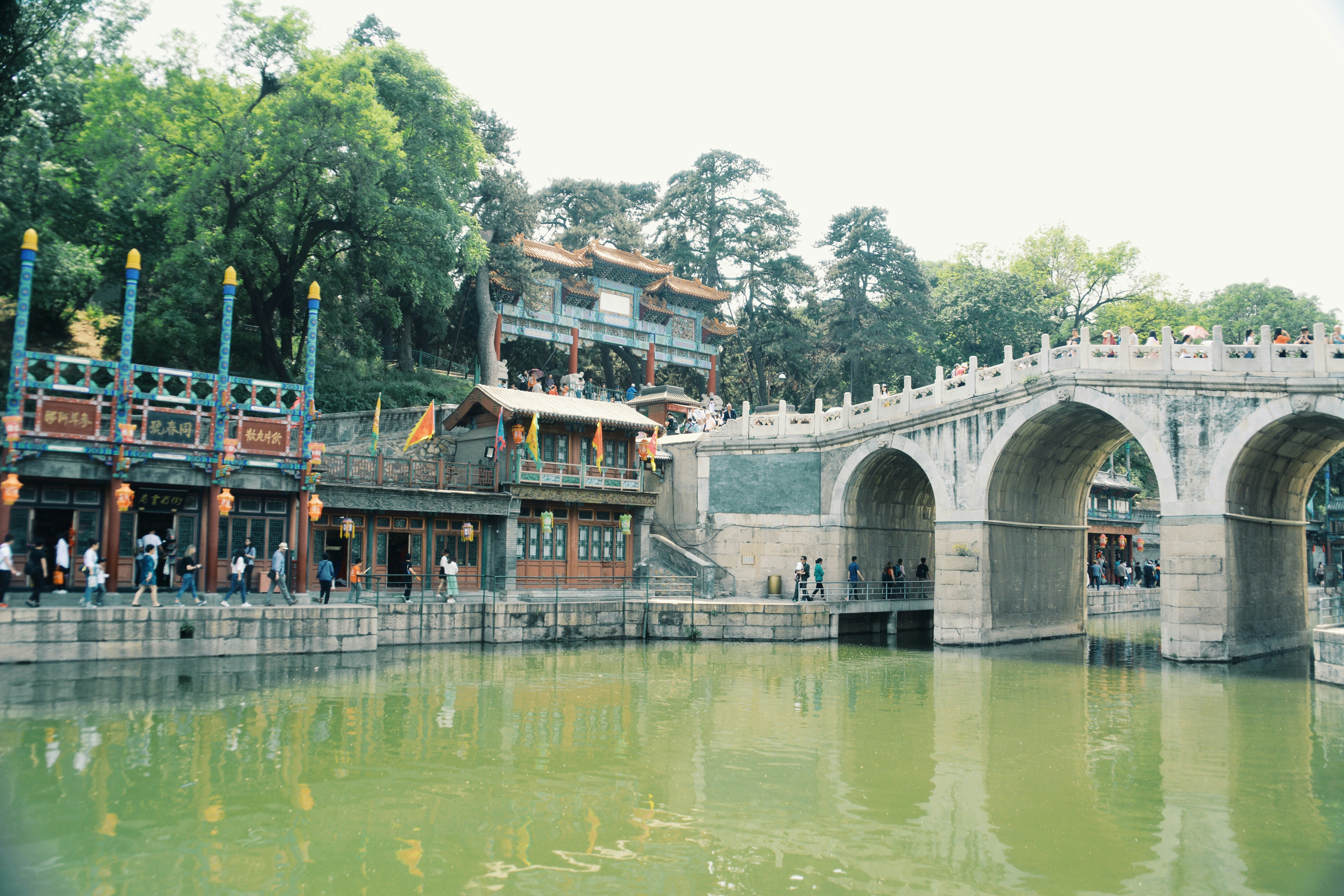 Free Unsplash photo from shane victor