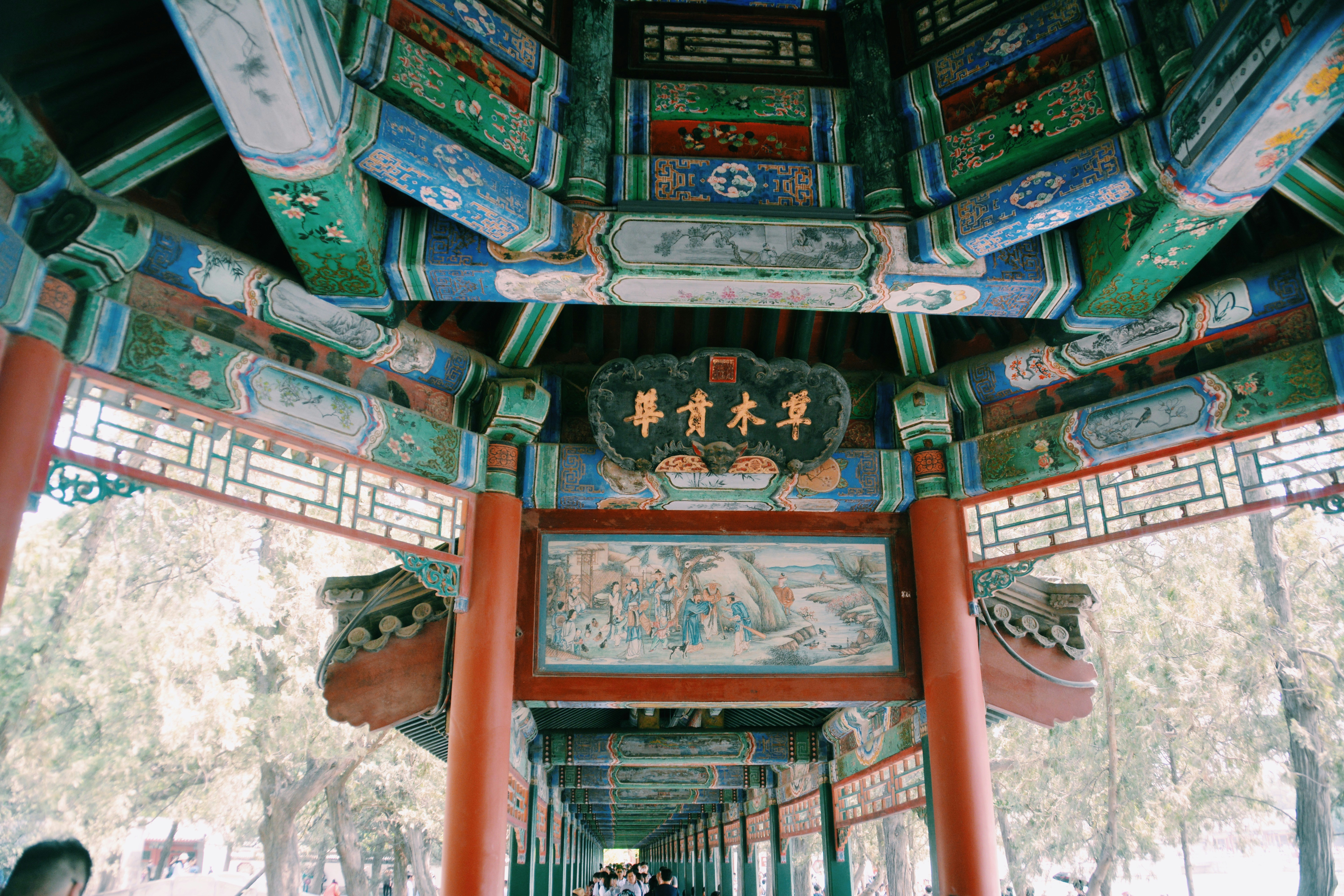 Free Unsplash photo from shane victor