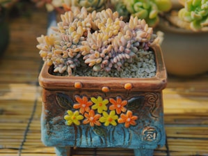 A decorative pot with intricate floral designs contains a cluster of succulents with plump, round leaves in shades of pink and green. The pot sits on a wooden surface, adding a rustic touch.