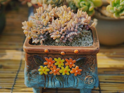 A decorative pot with intricate floral designs contains a cluster of succulents with plump, round leaves in shades of pink and green. The pot sits on a wooden surface, adding a rustic touch.