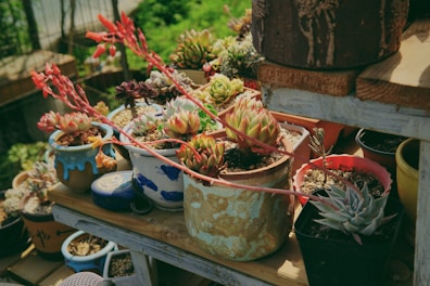 An arrangement of colorful succulent art pieces displayed on a wooden shelf.