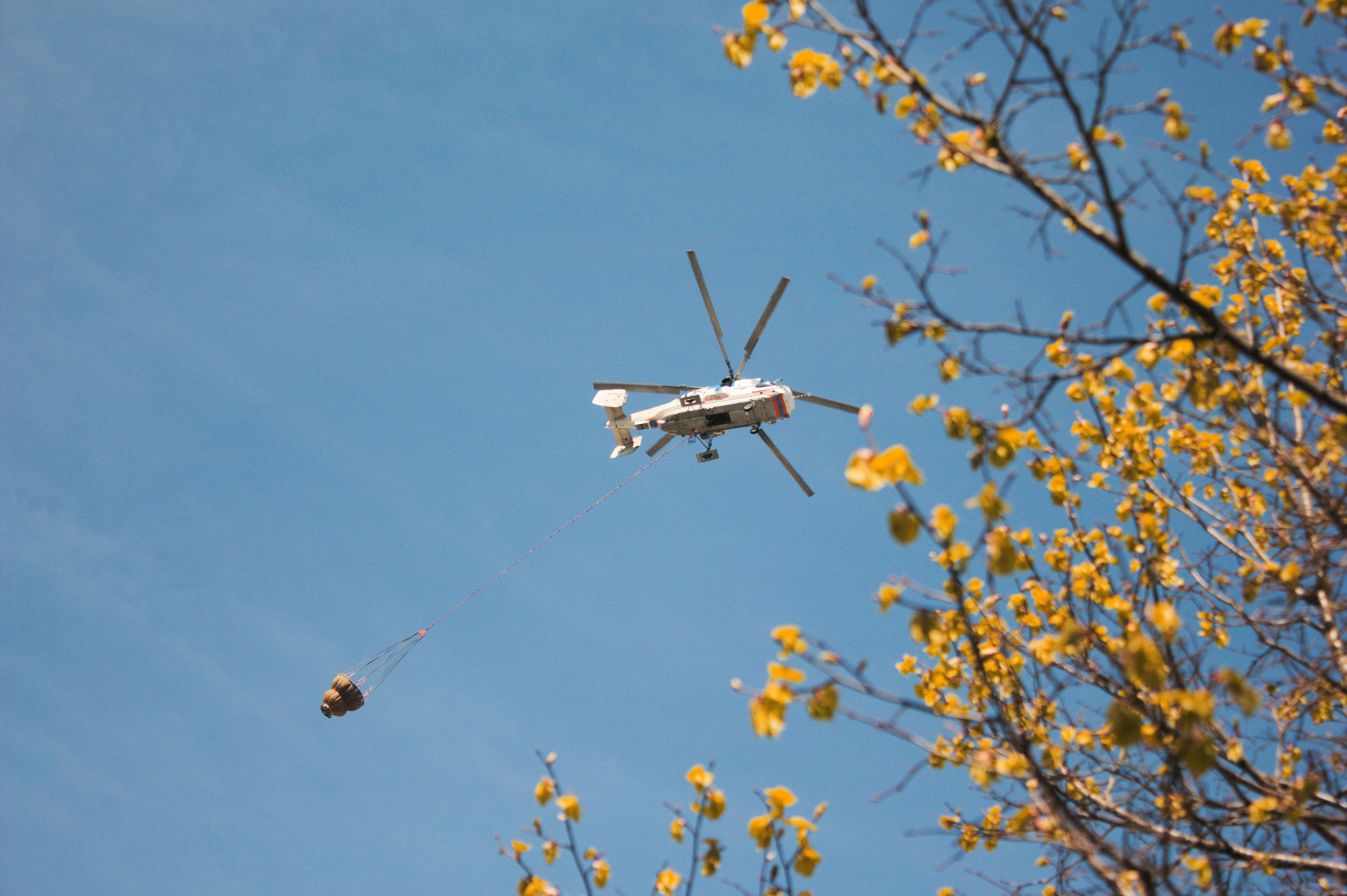 Free Unsplash photo from Sergey Ukolov