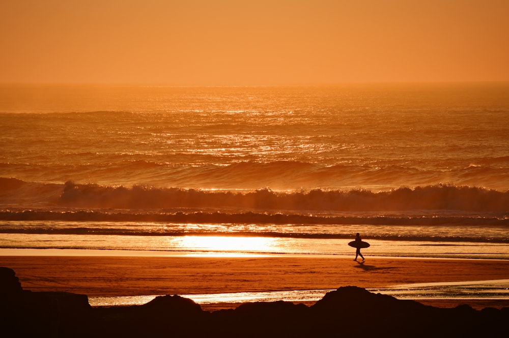 person holding surfboard walking on seashore during golden hour