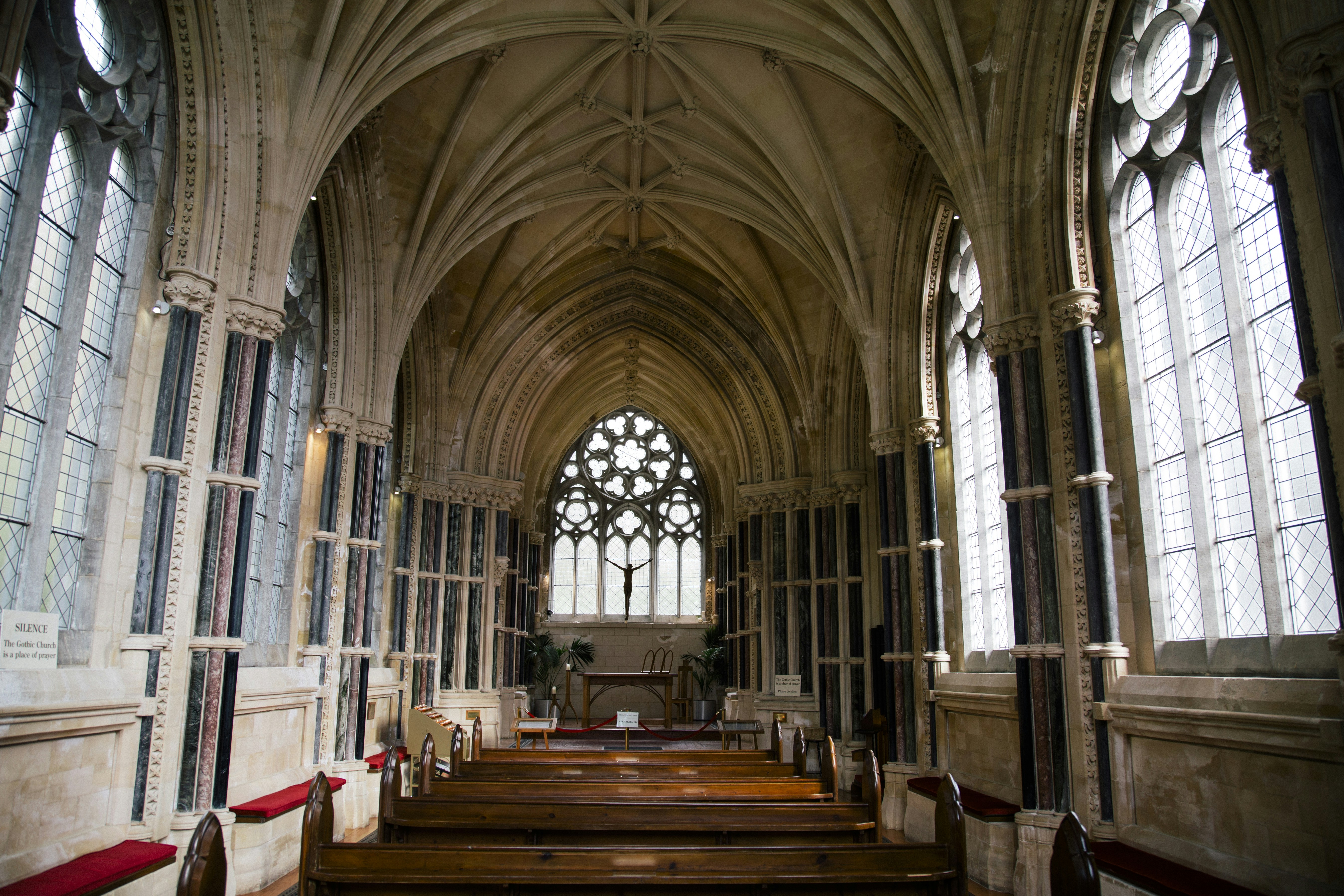 Free Unsplash photo from The Enlight Project