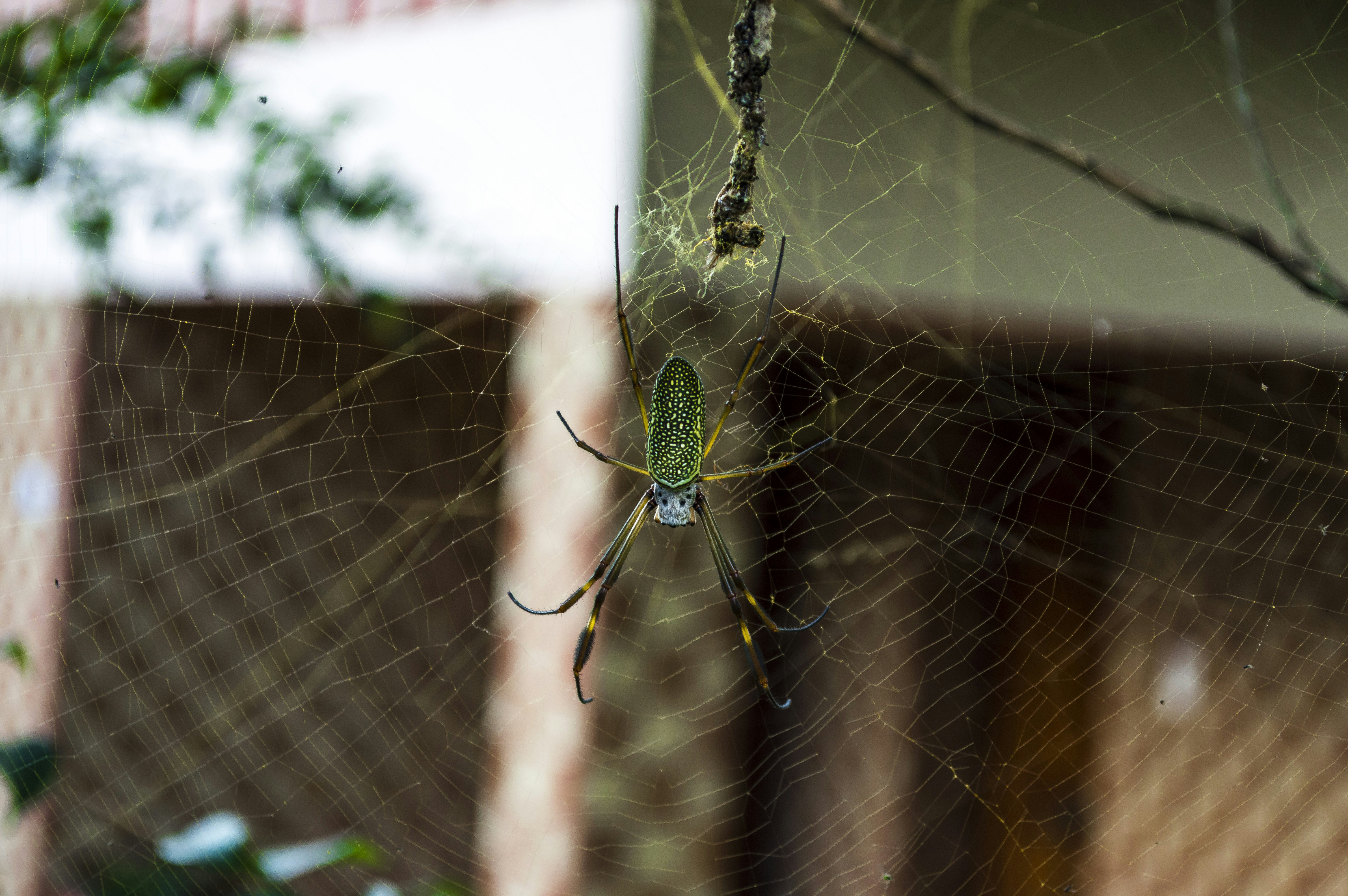 Free Unsplash photo from Ariel Schmunck