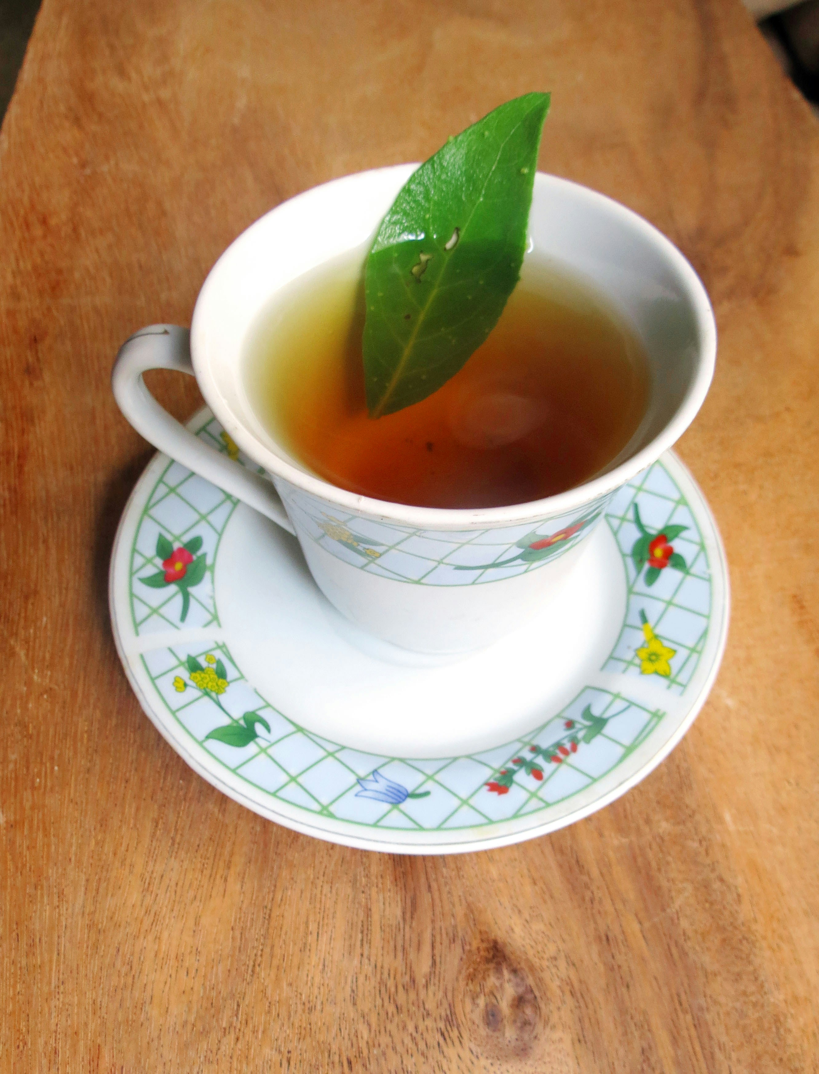 photo 1494596332886 61a3c7d9a977?ixlib=rb 4.0