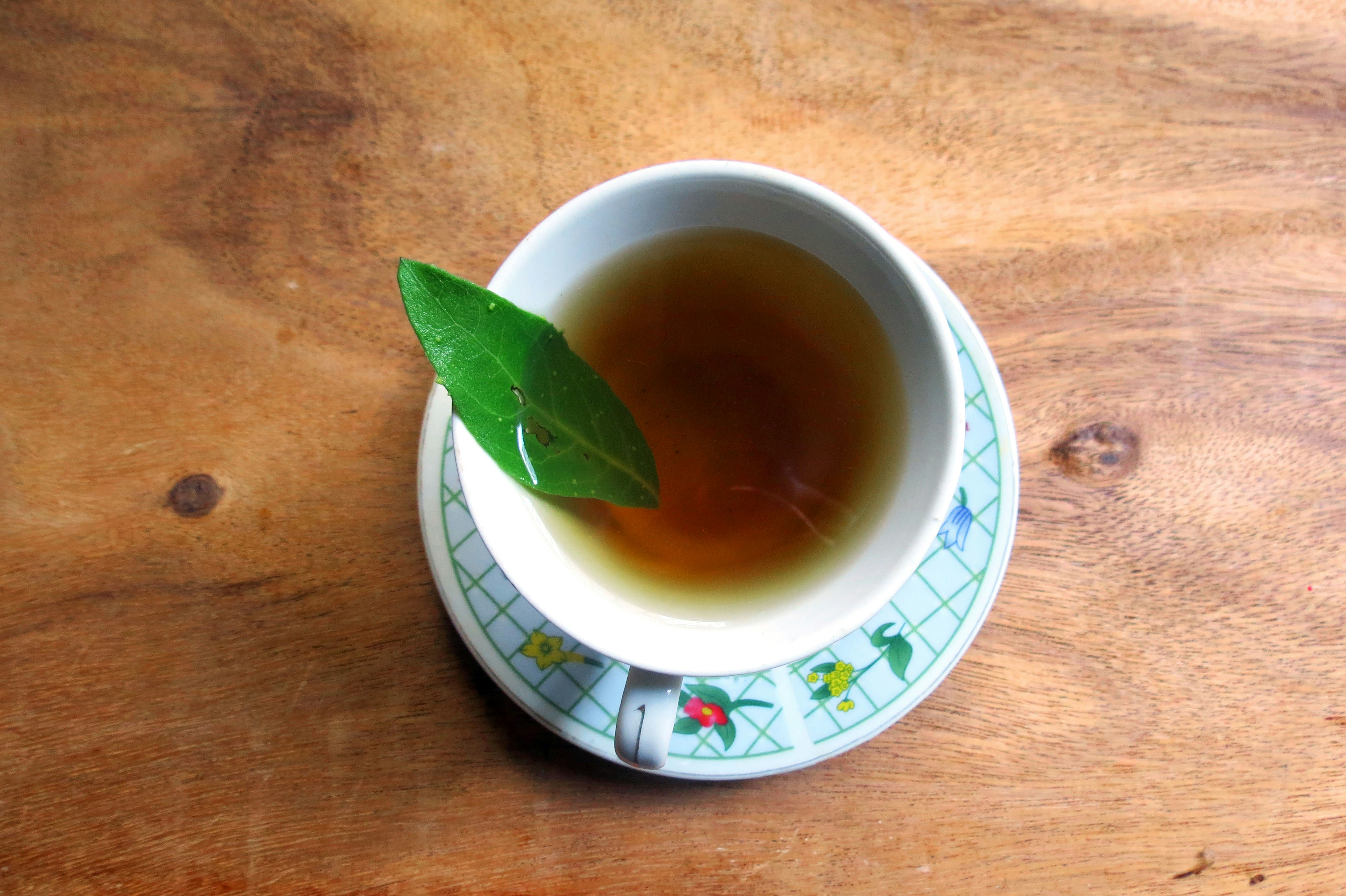 Cup infusion Salvia photo by Dileny Jiménez (@dileny) on Unsplash