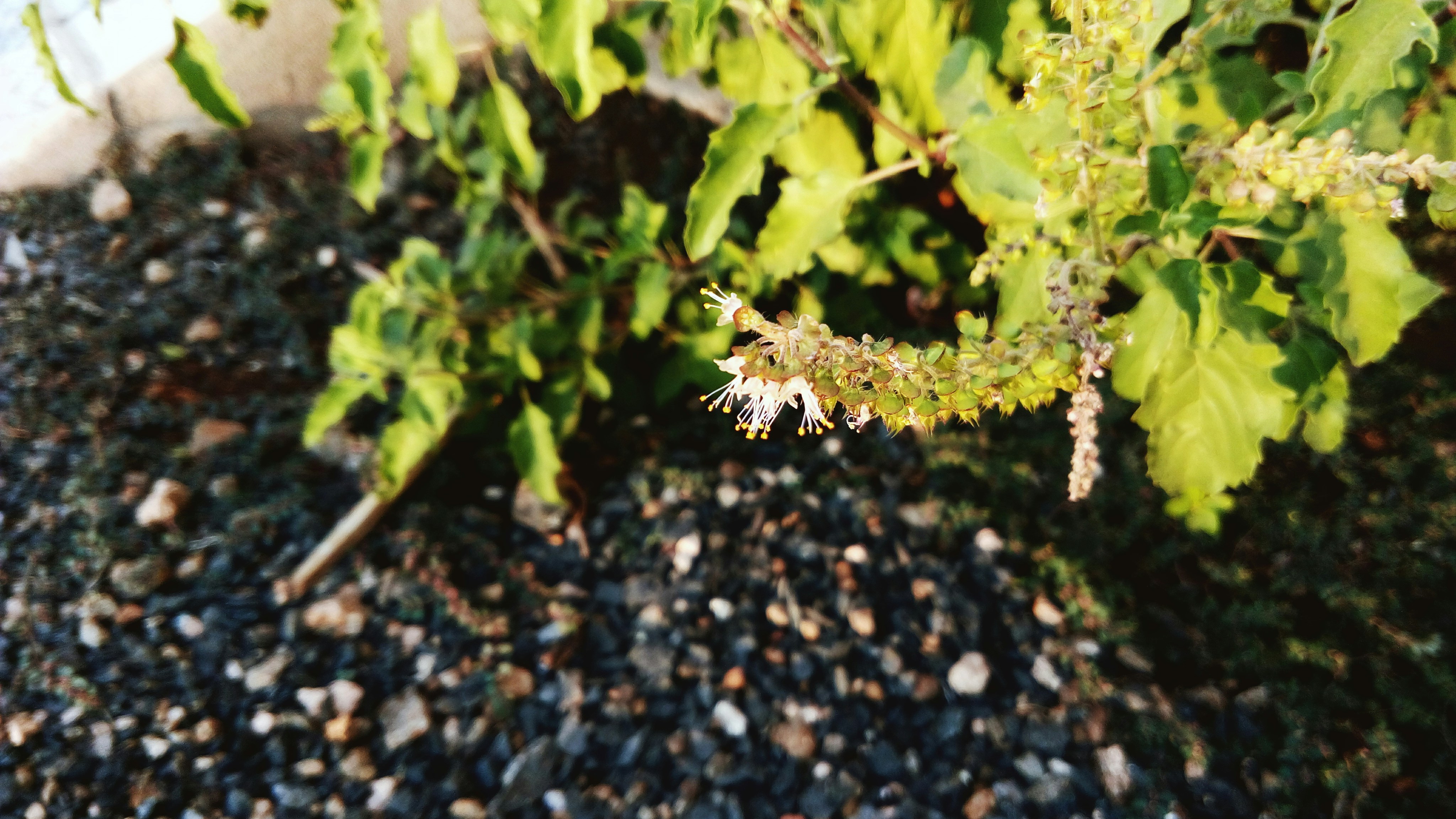 Free Unsplash photo from Kahan Bhalani