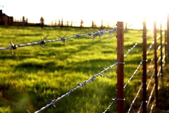 A barbed wire fence stretches diagonally across a sunlit field. The sunlight creates a warm glow on the grass, highlighting the contrast between the metal wire and the lush green landscape. The focus is on the sharp details of the barbed wire, with the background slightly blurred, capturing a serene yet slightly ominous atmosphere.