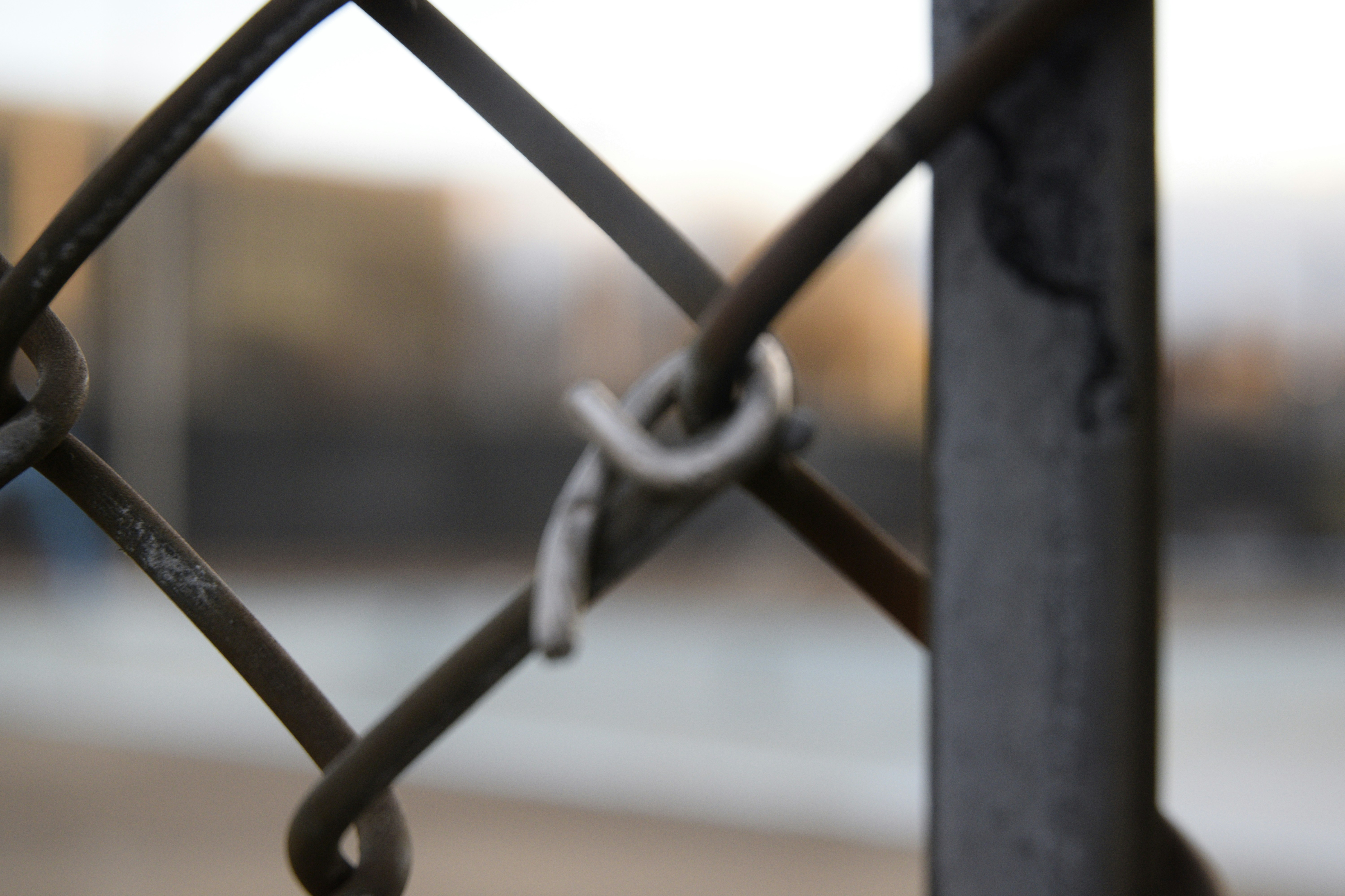 Free Unsplash photo from Ryan Oswick