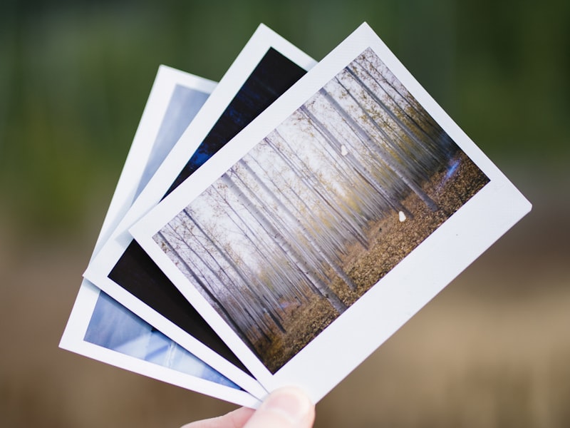 The History and Evolution of Paper Making for Beginners
