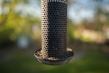 A cylindrical metal bird feeder with numerous small holes filled with seeds, set against a blurred green and yellow natural background.