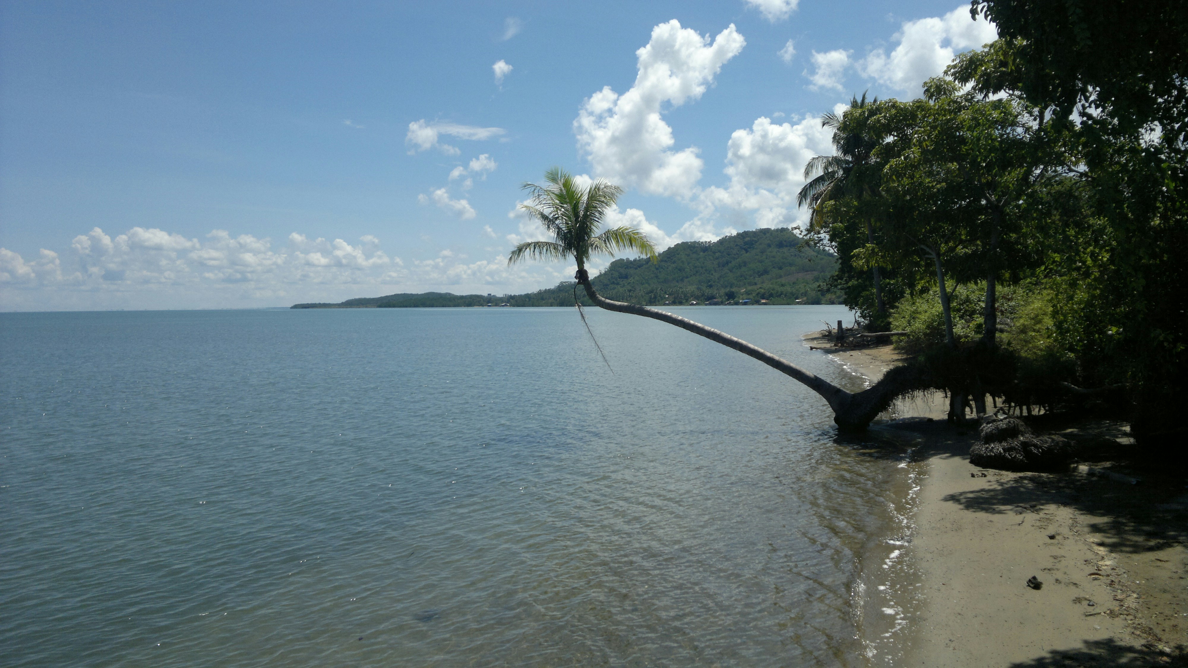 Free Unsplash photo from Renaldy Christopher