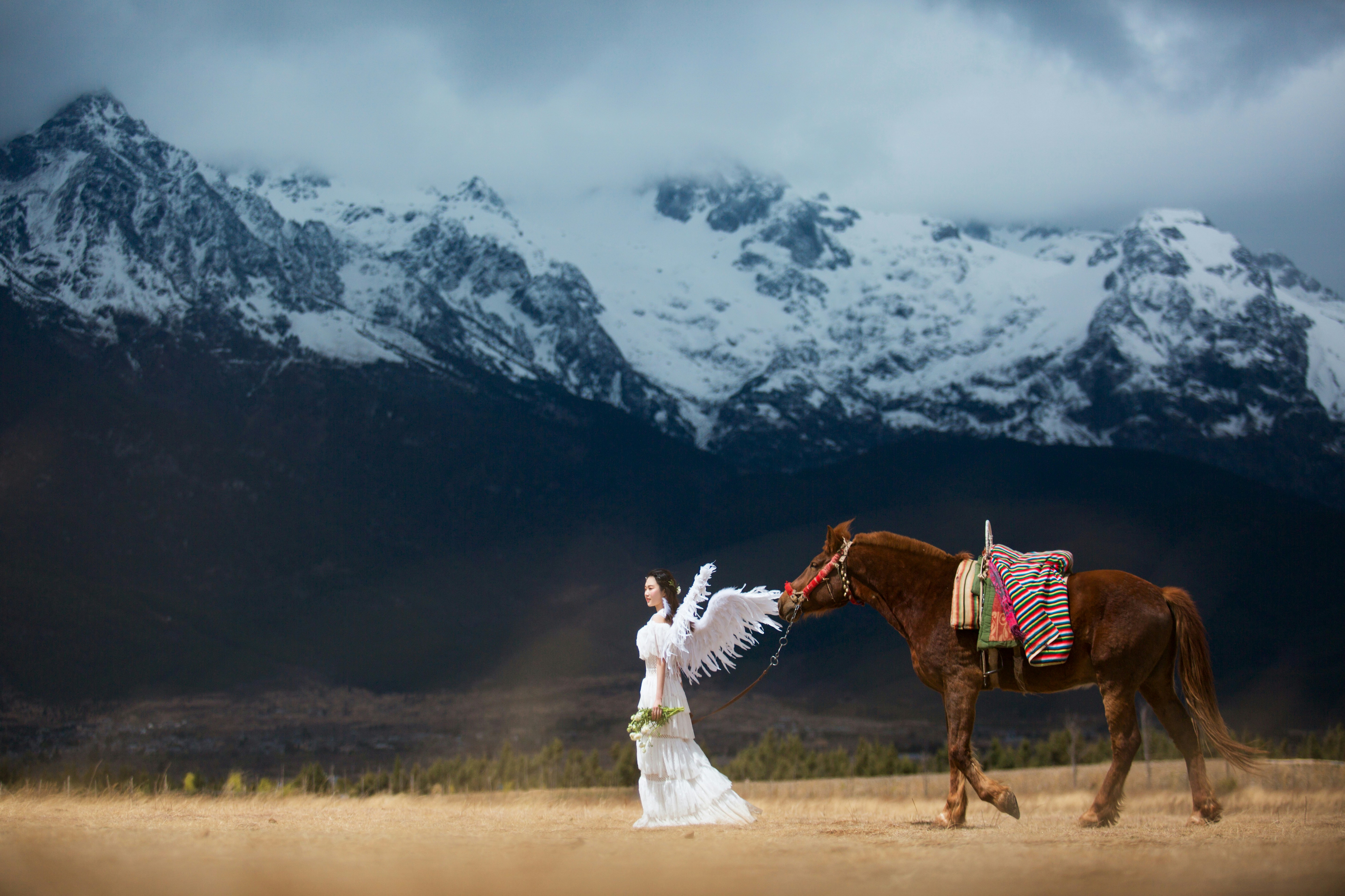 Free Unsplash photo from 小胖 车