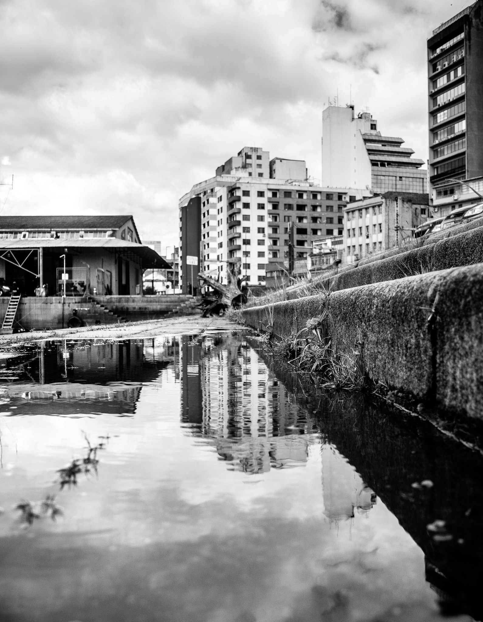 Free Unsplash photo from alisson rocha